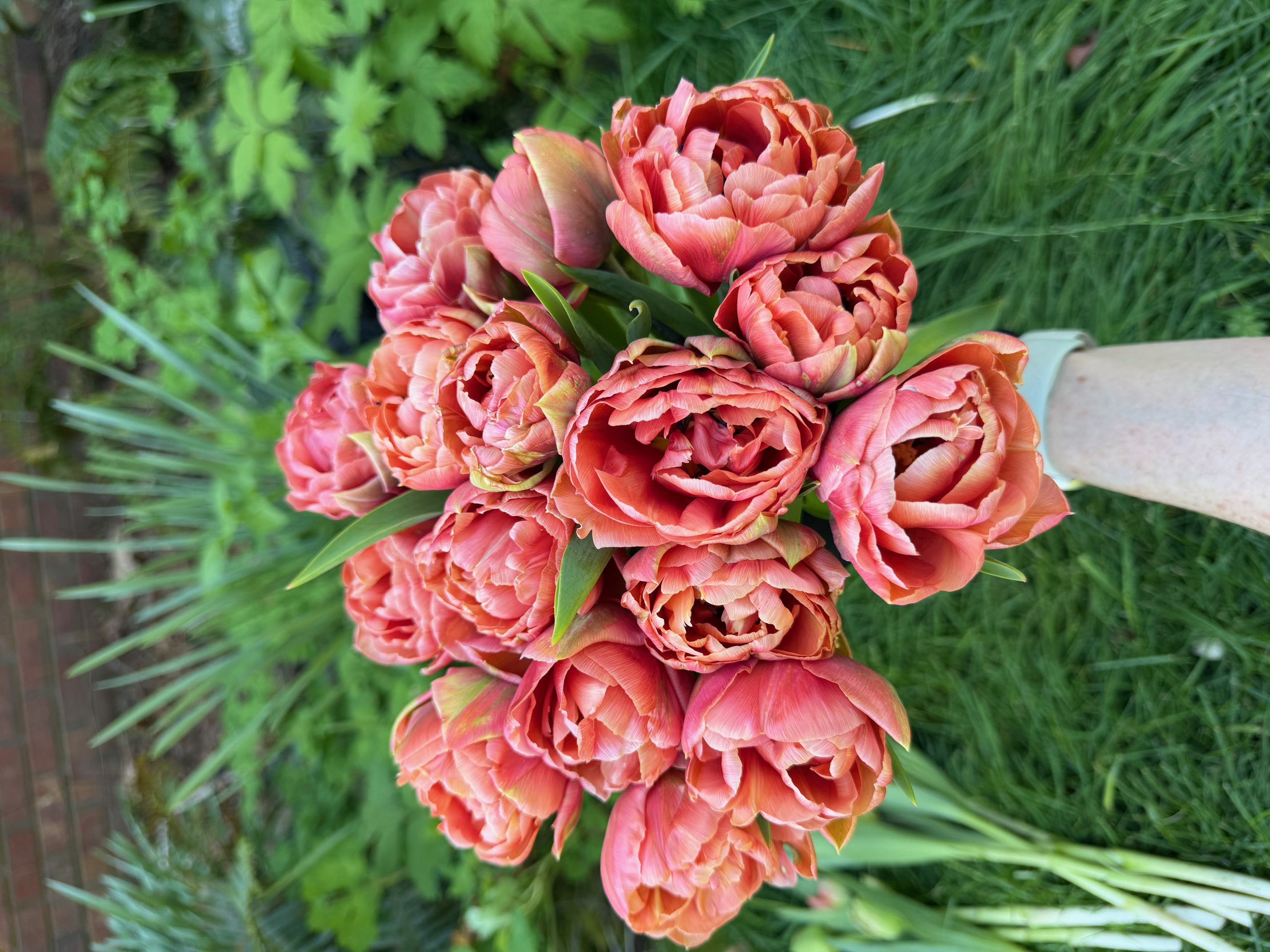 Single Flower Bouquet 