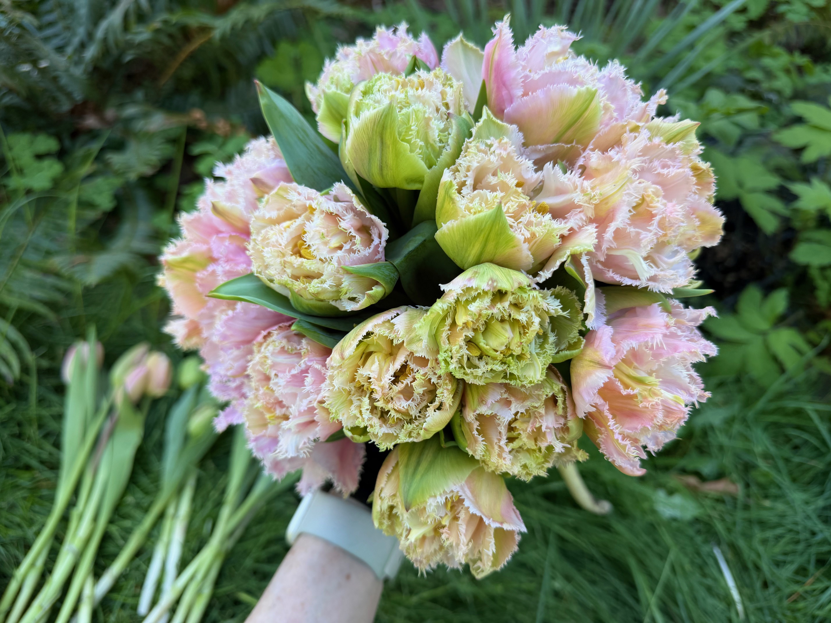Single Flower Bouquet 