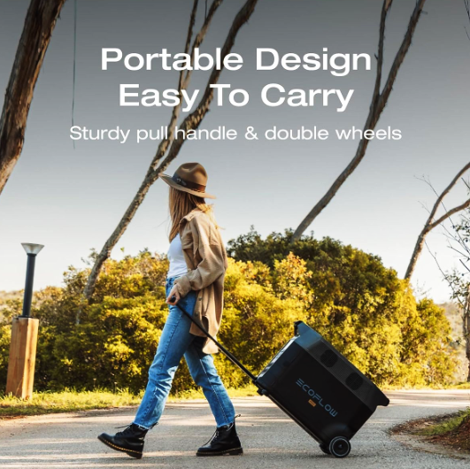 EcoFlow DELTA Pro Portable Power Station EU Sockets 3600W