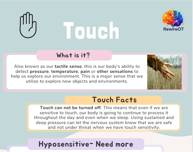Exploring the 8 Senses: Understanding Our Senses and How They Impact Functioning