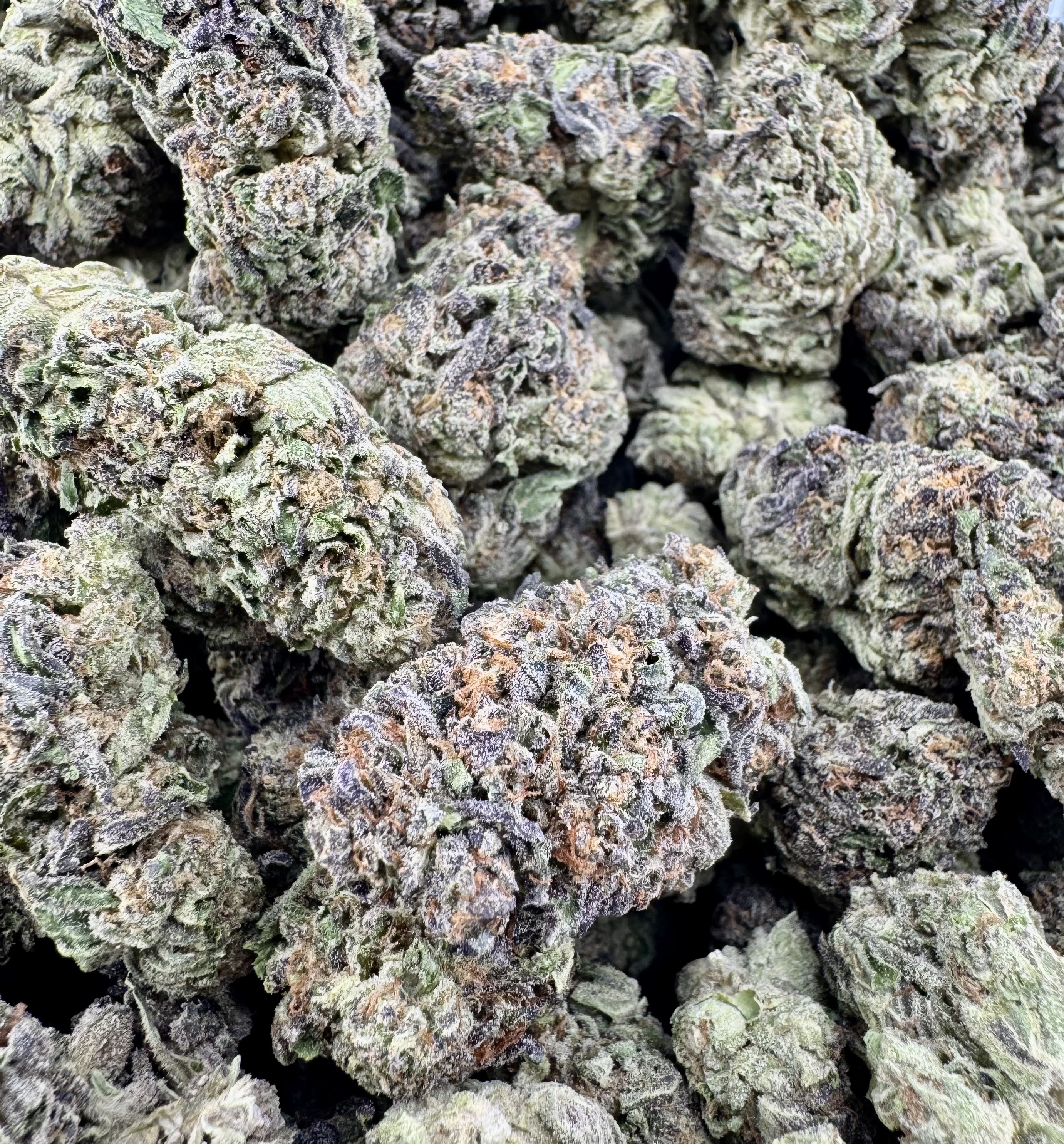 Gushers - Indica / Hybrid