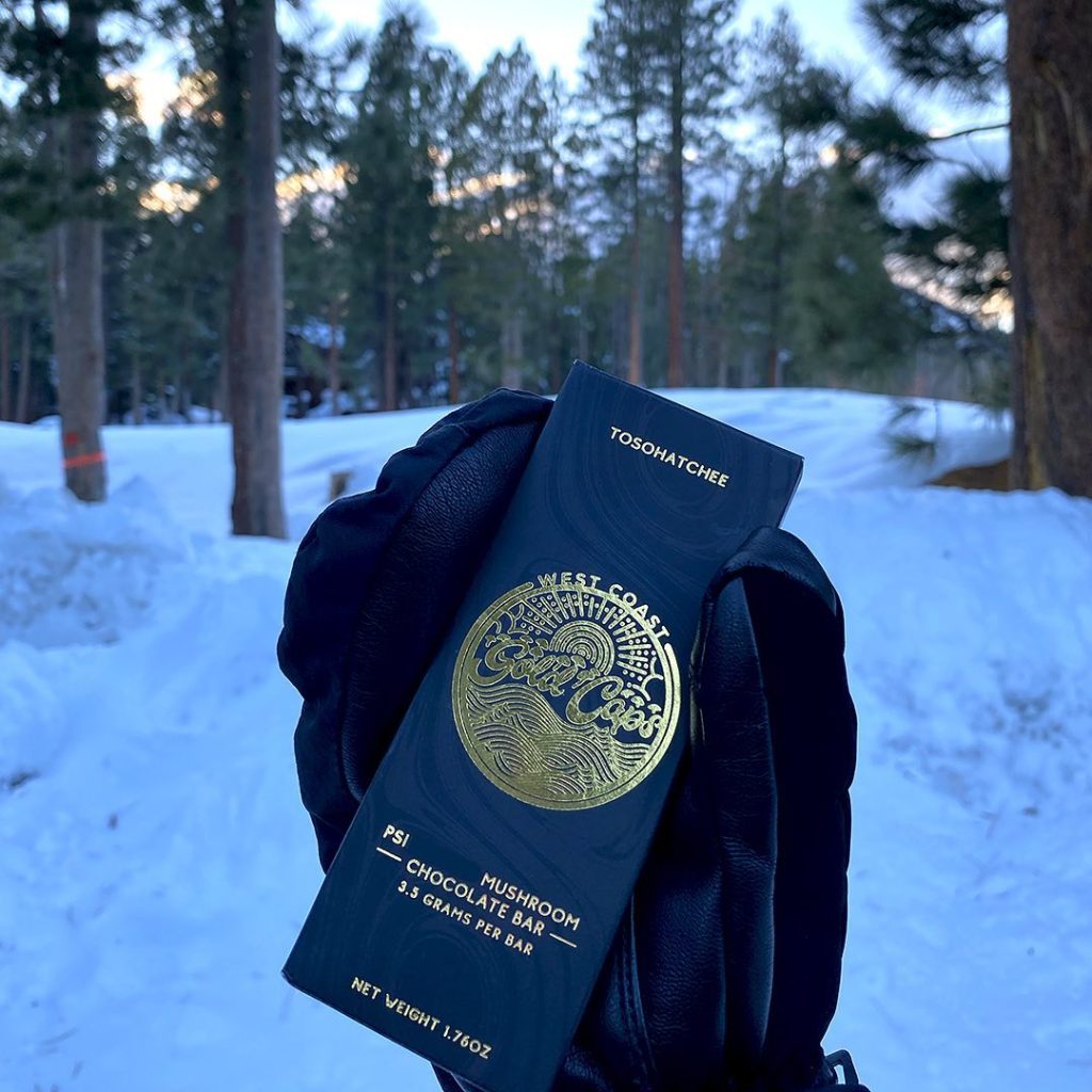 West Coast Gold Caps - Mushroom Chocolate Bar - 3.5G