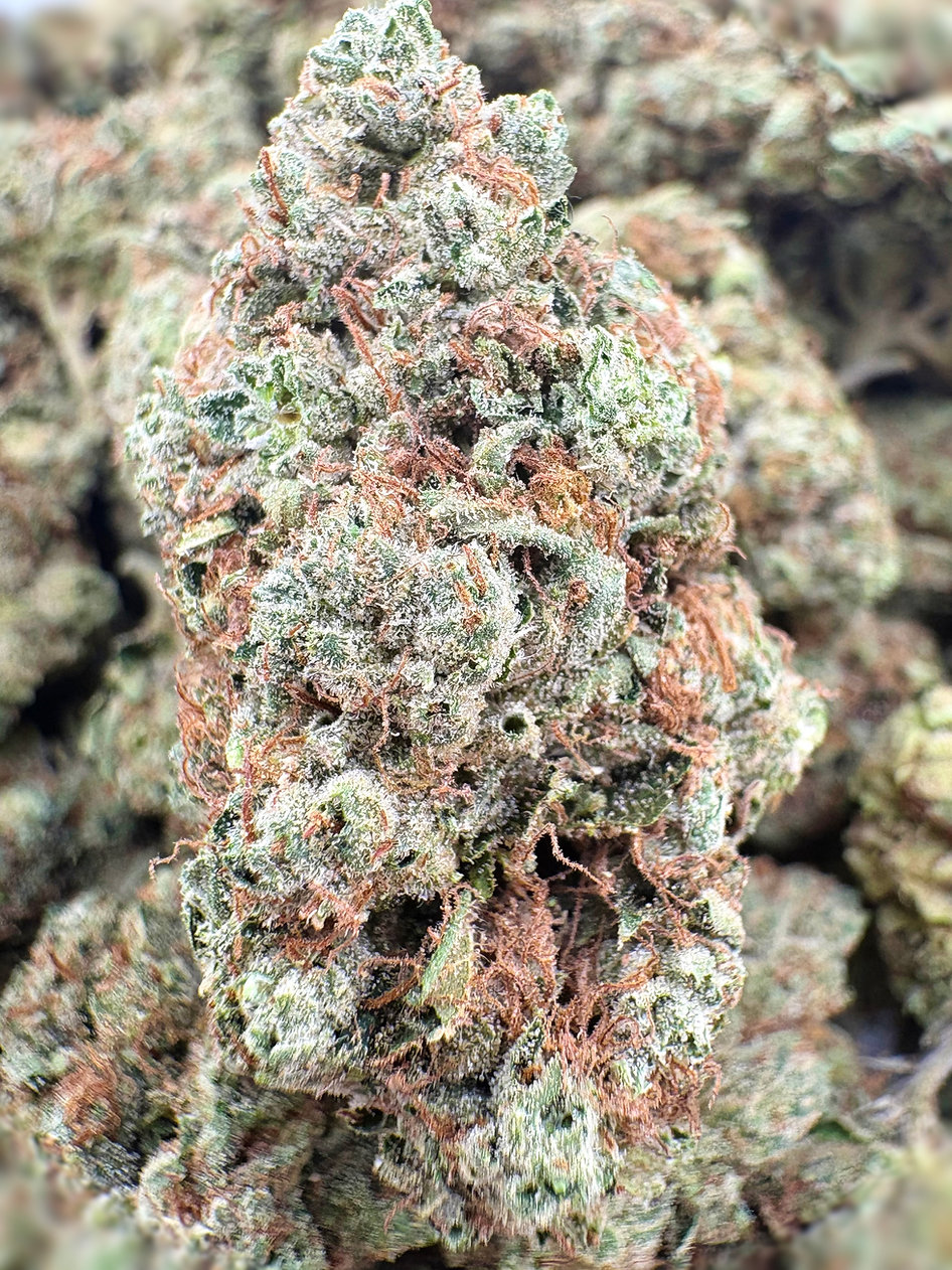 Eastside OG - Hybrid - (Exotic Limited)