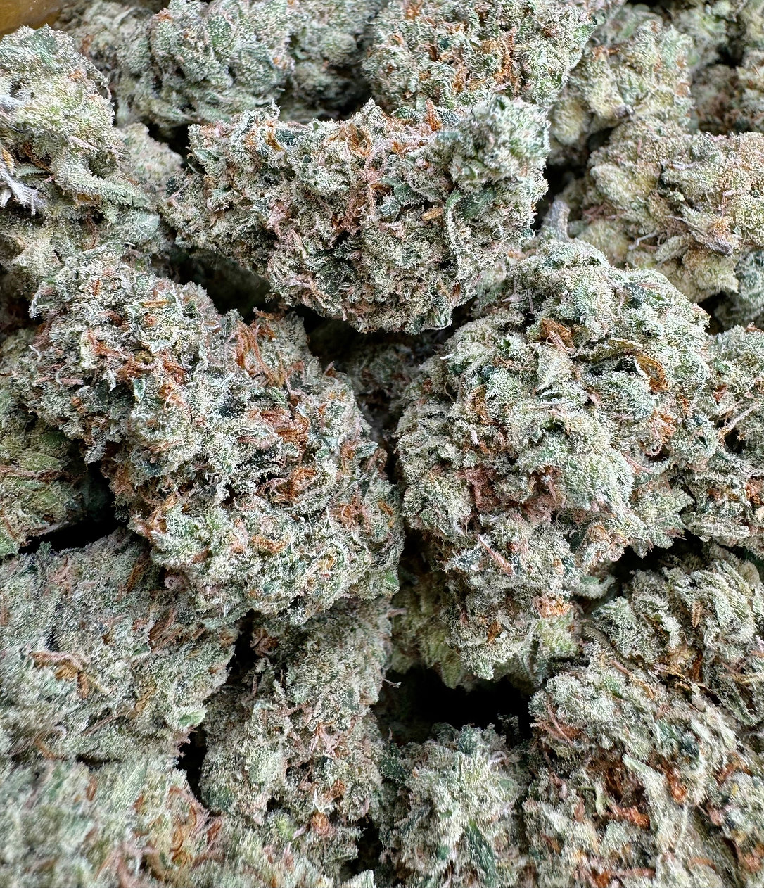 Super Lemon Haze - Sativa - (Exotic Limited)