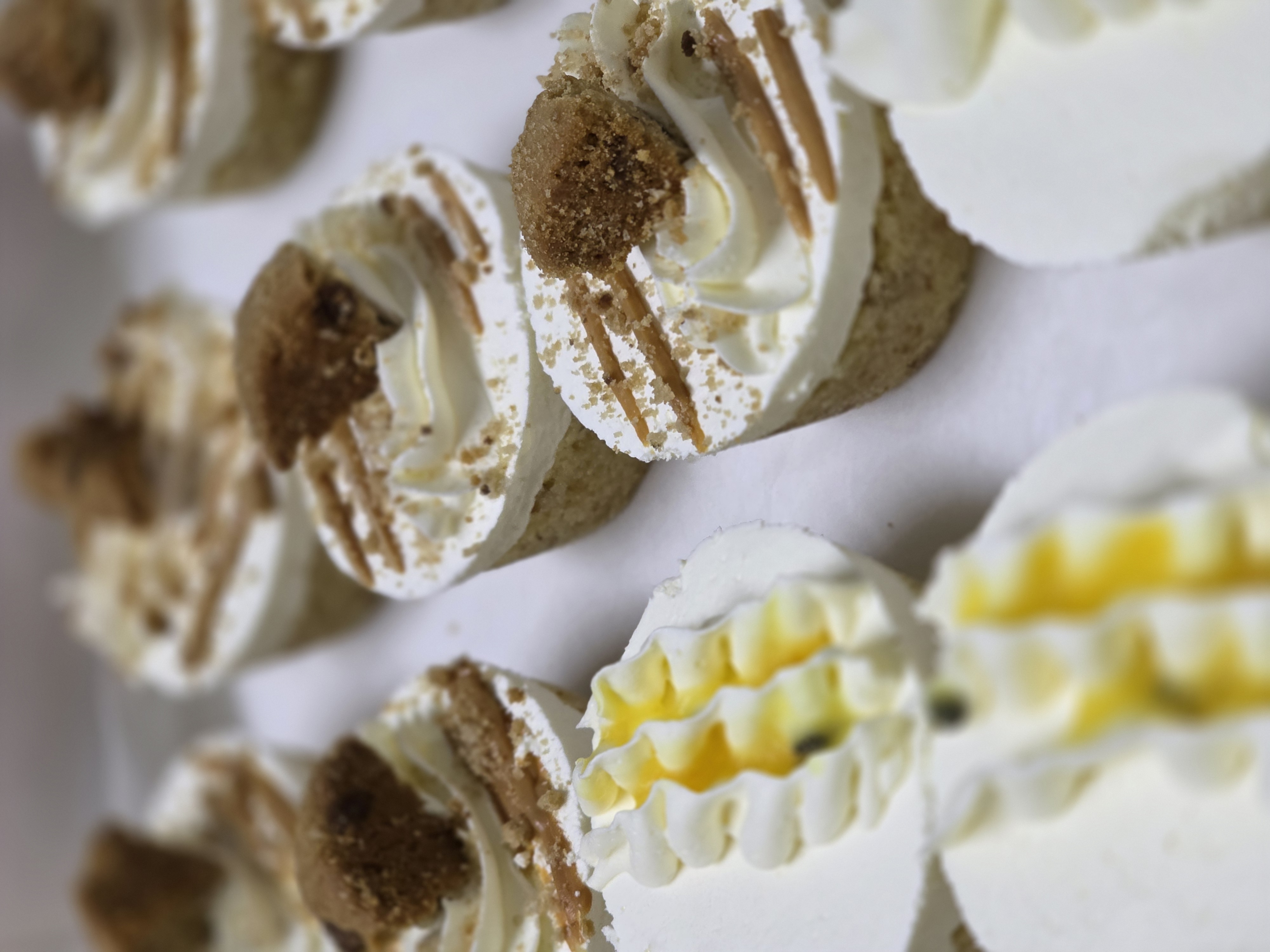 Mini Gourmet Cheesecakes