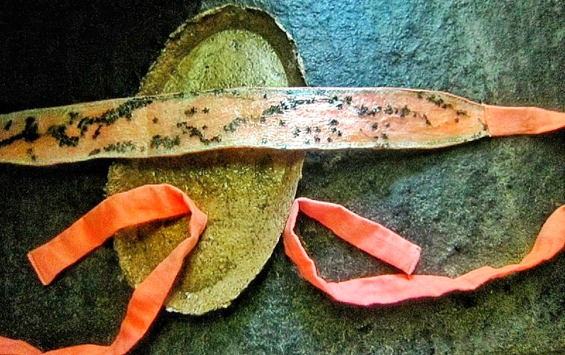 Recycled plastic hair band.Dry flower accessories,Recycle plastic,Sustainable style,Unique natural,Botanical accessories,Natural flower,Eco