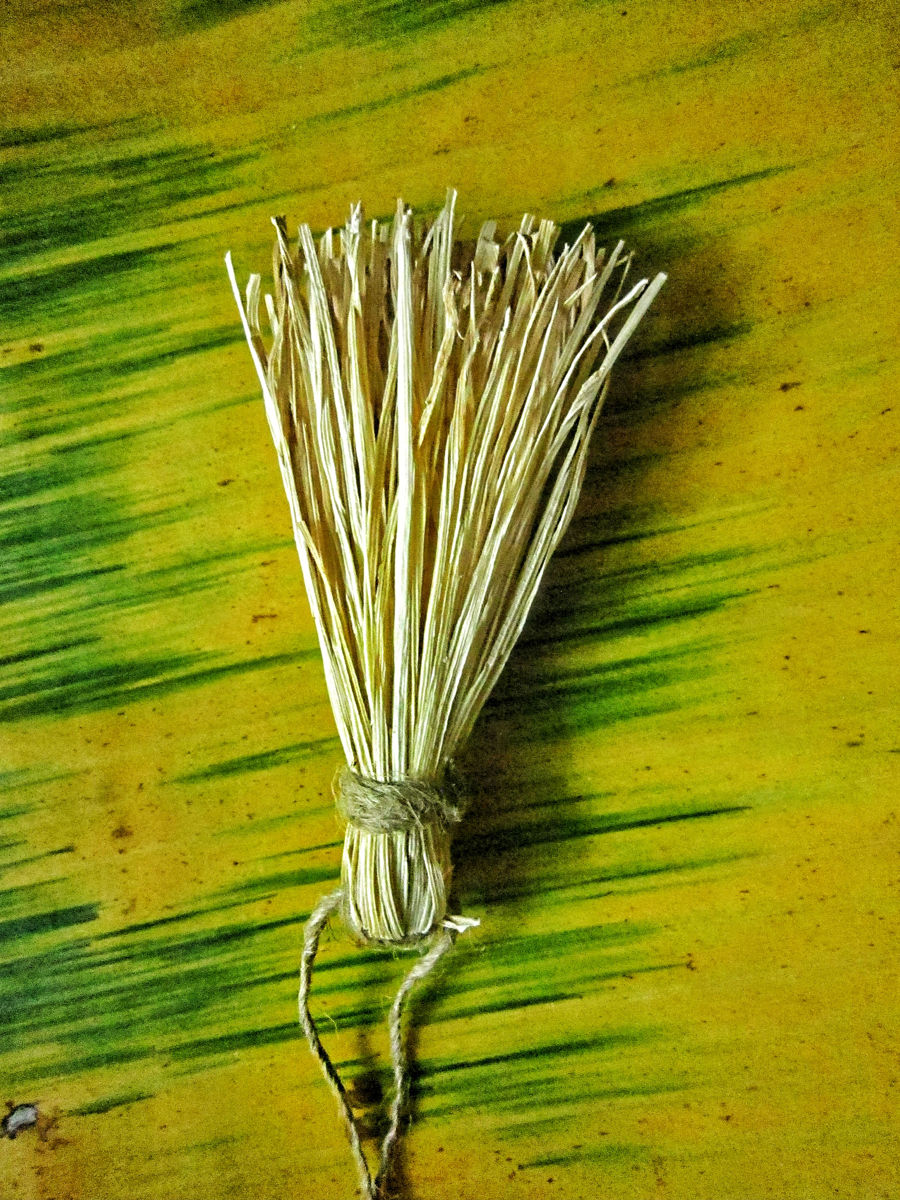Natural tassel,Corn husk tassel,Zero waste ornament,Food waste,Waste tassel,Natural ornament,Eco tassel decor,Sustainable home decor,One set