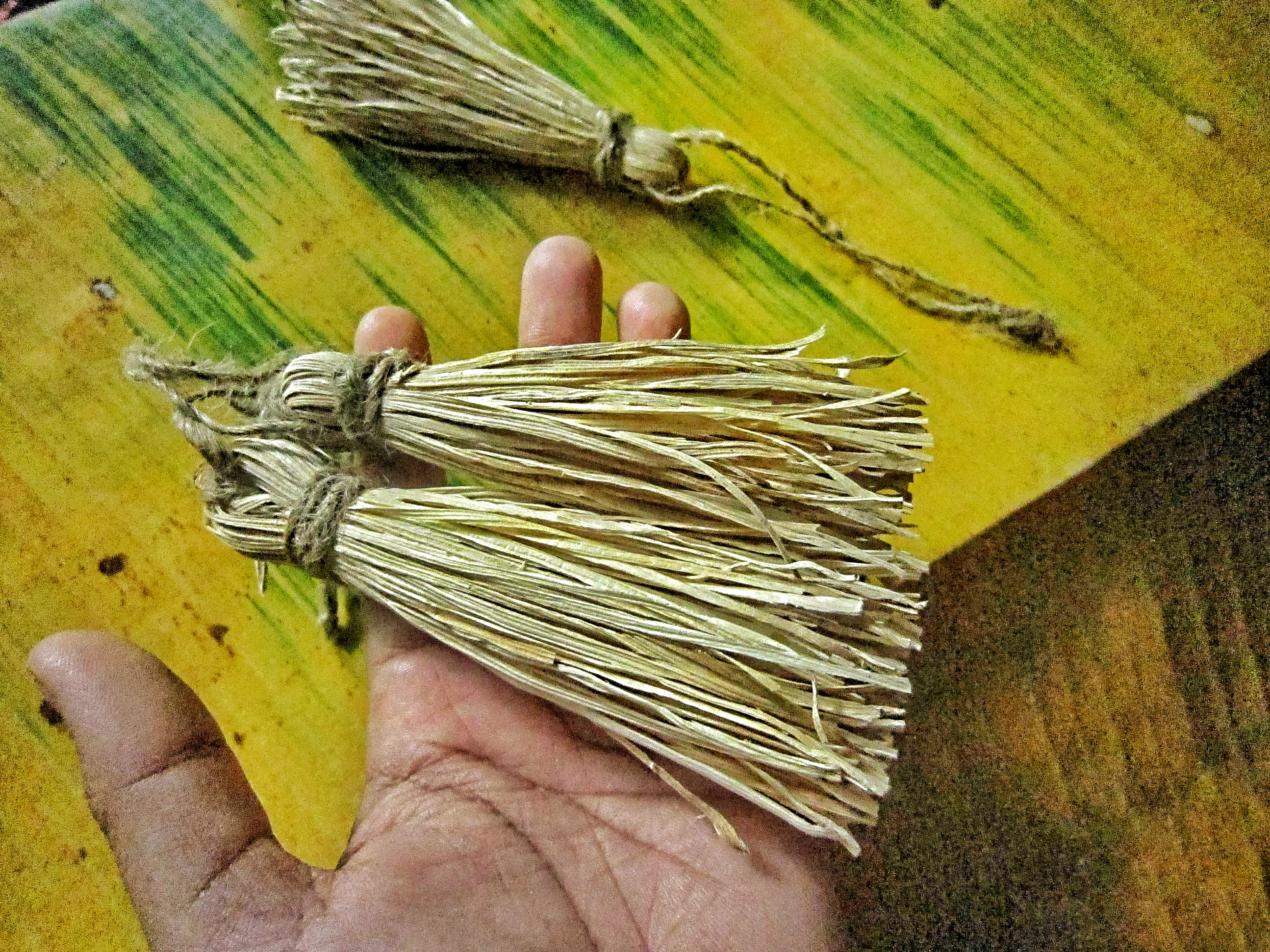 Natural tassel,Corn husk tassel,Zero waste ornament,Food waste,Waste tassel,Natural ornament,Eco tassel decor,Sustainable home decor,One set