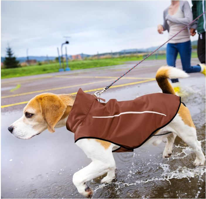 Medium Brown Dog Raincoat, For Dogs With Chest Size 26 To 32 Inches