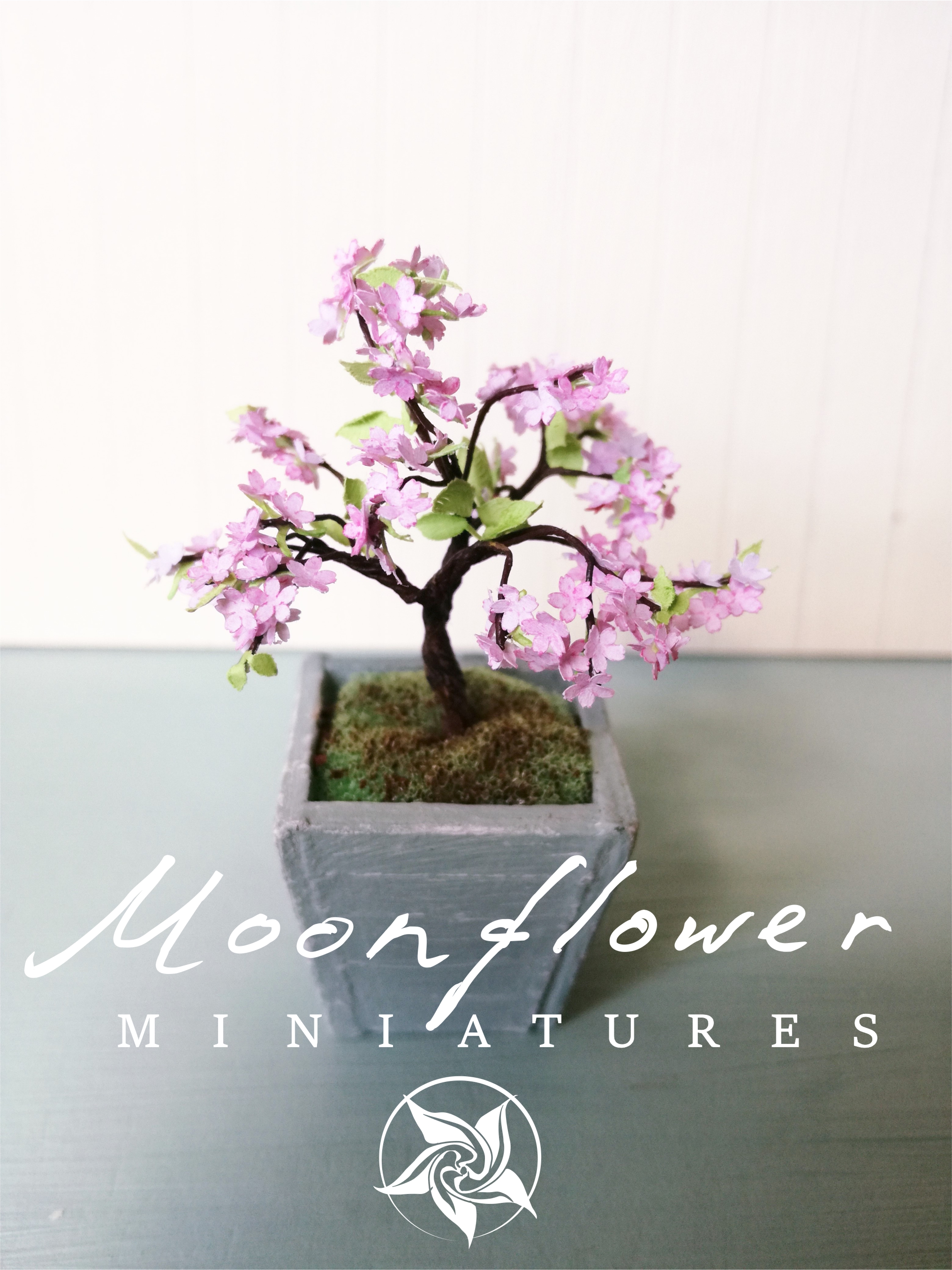 Miniature Cherry Blossom Tree bonsai Kit 1:12