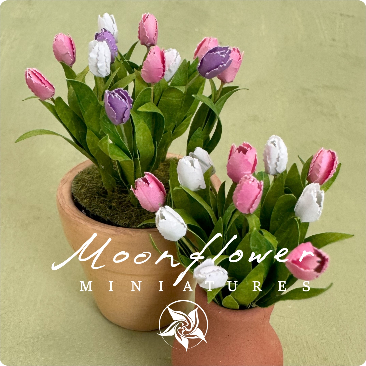 Miniature 12x Tulip flowers