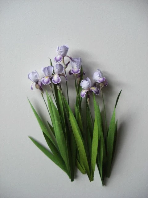 Miniature 7x Conjuration bearded iris flowers 1:12 