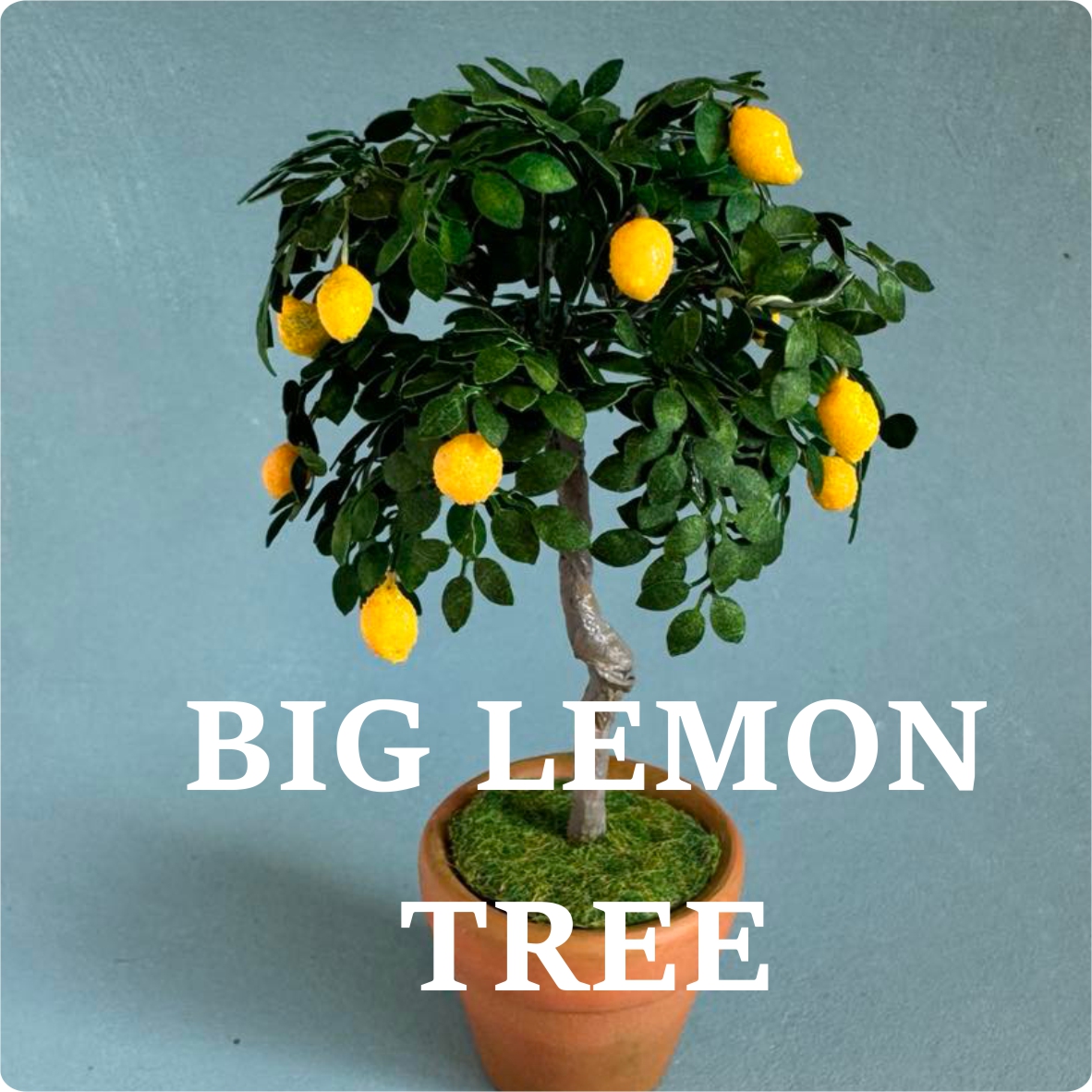 Miniature Lemon tree 1:12