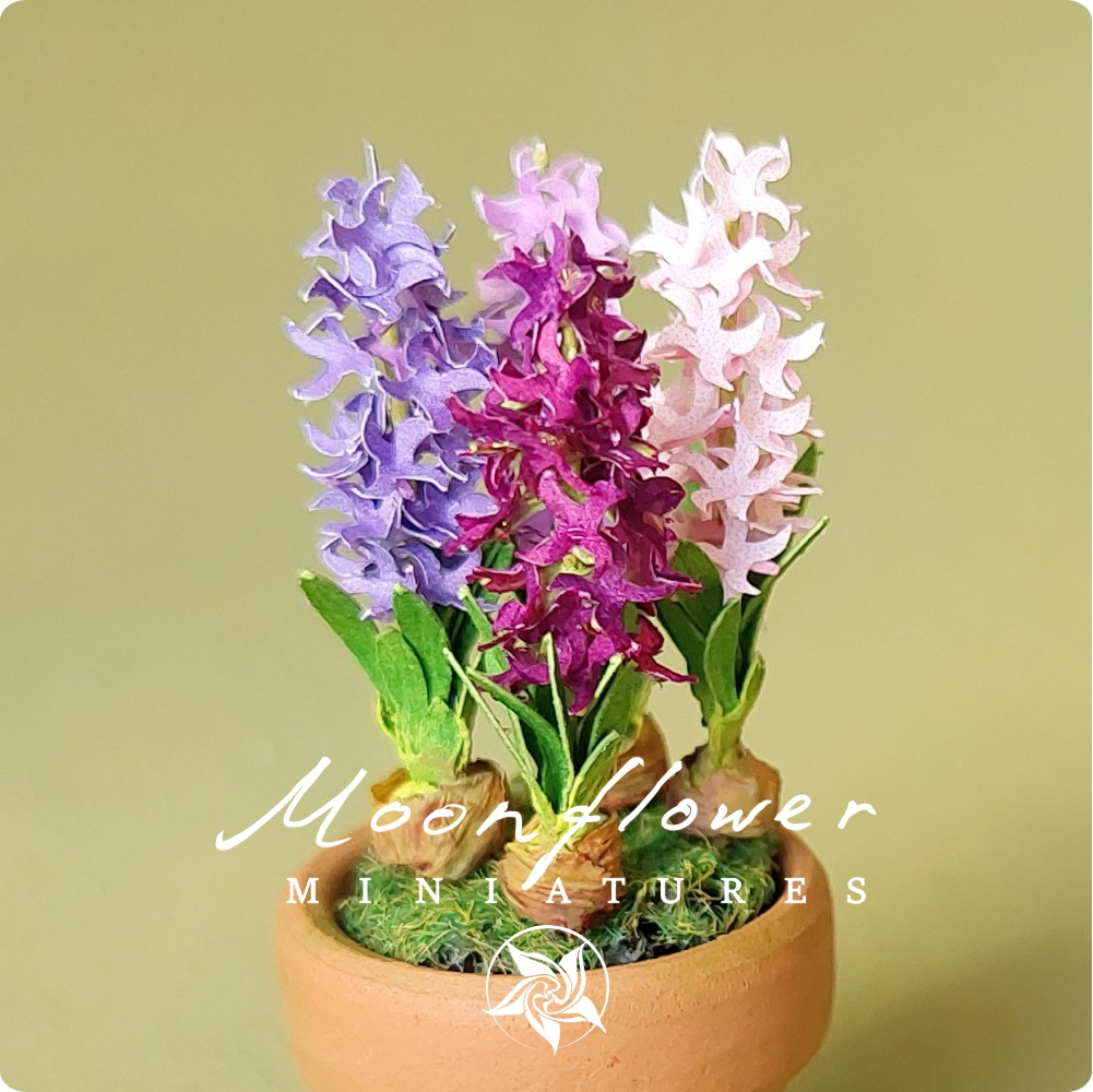Miniature Hyacinth flowers in the terracotta pot 1:12 