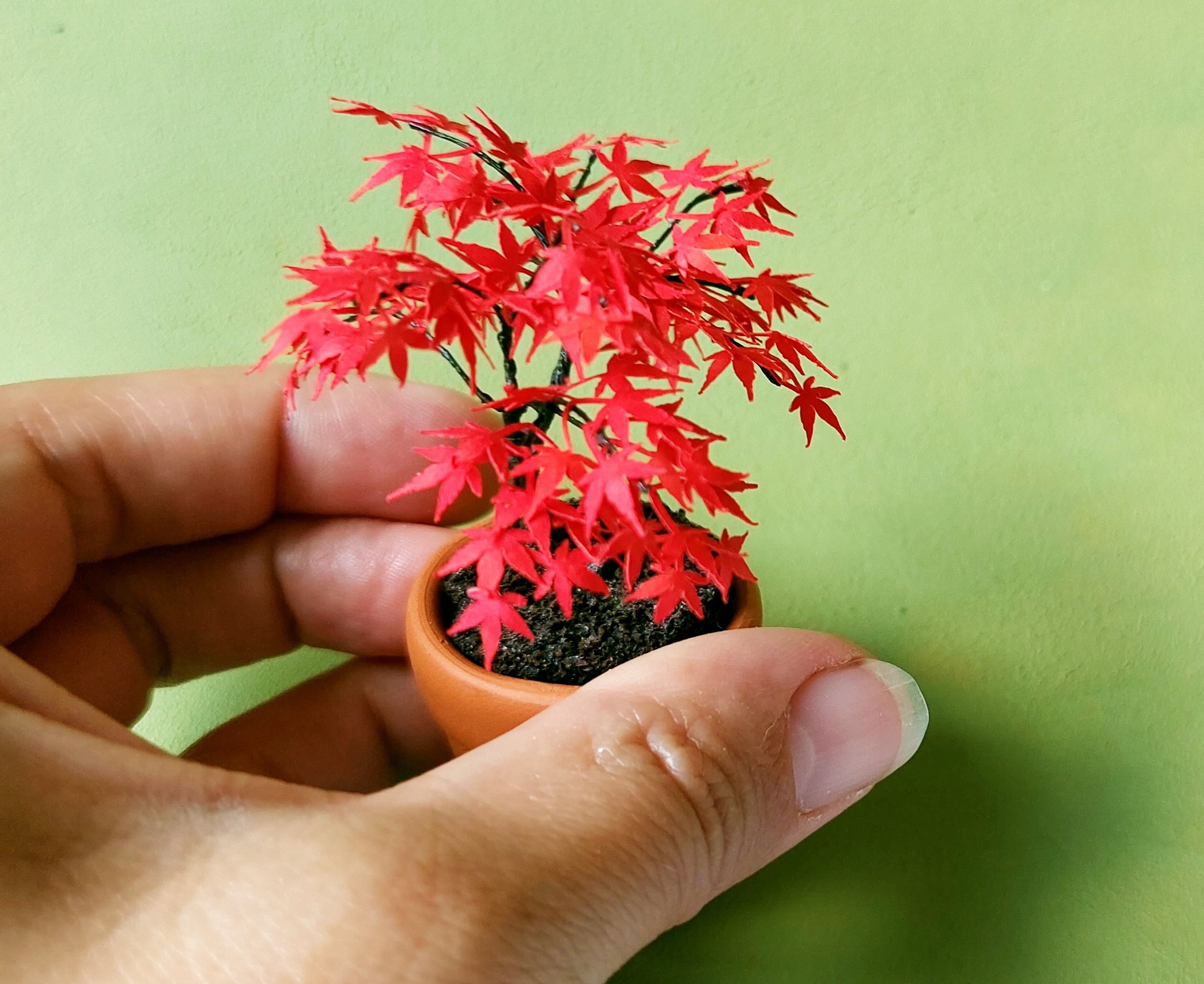 Miniature Maple bonsai tree 1:12