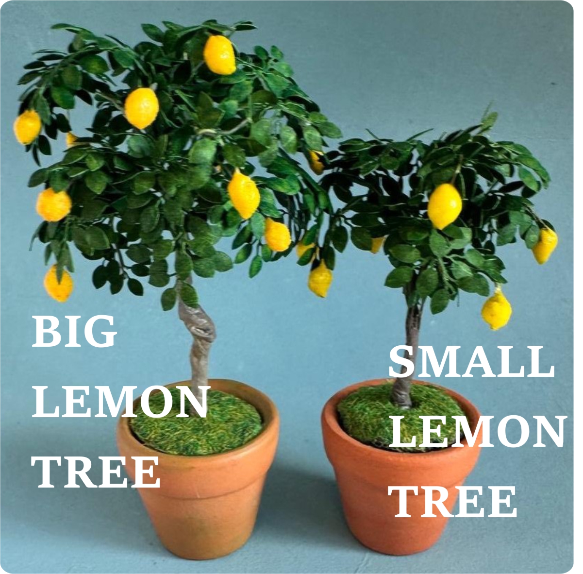 Miniature Lemon tree 1:12