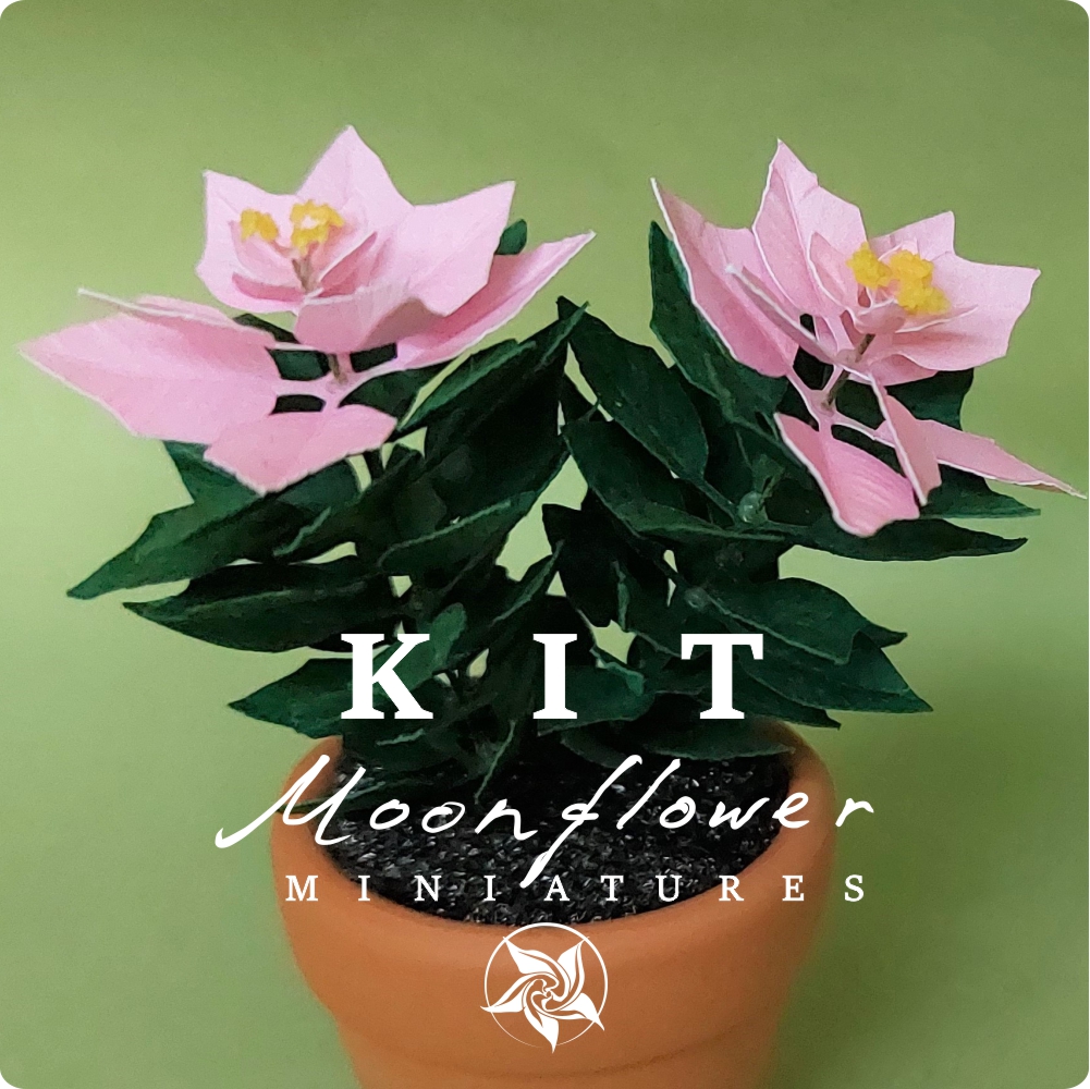 Miniature KIT pink Poinsettia flower plant Christmas garden flower, scale 1:12, DIY