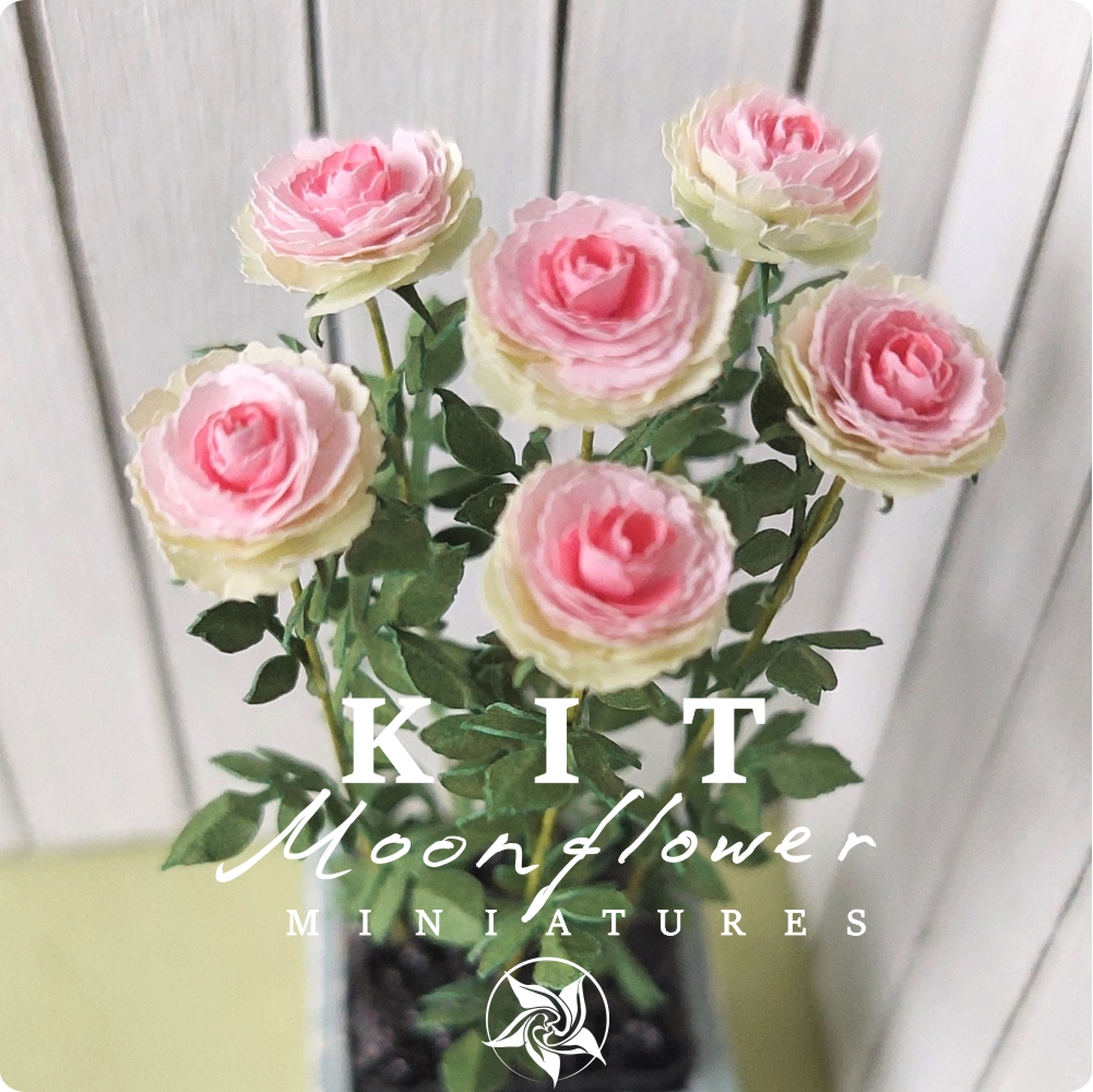 Kit Rose "Pink & Green" dollhouse Miniature garden flower shop, scale 1:12, DIY