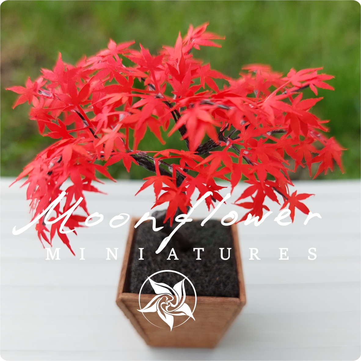 Miniature Maple bonsai tree 1:12