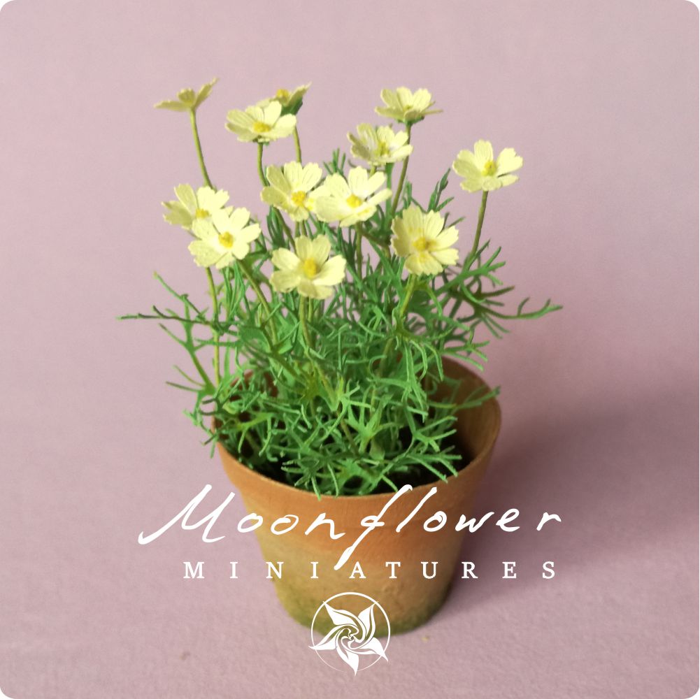 KIT Miniature garden dollhouse flower kit, scale 1:12, Cosmos Yellow DIY
