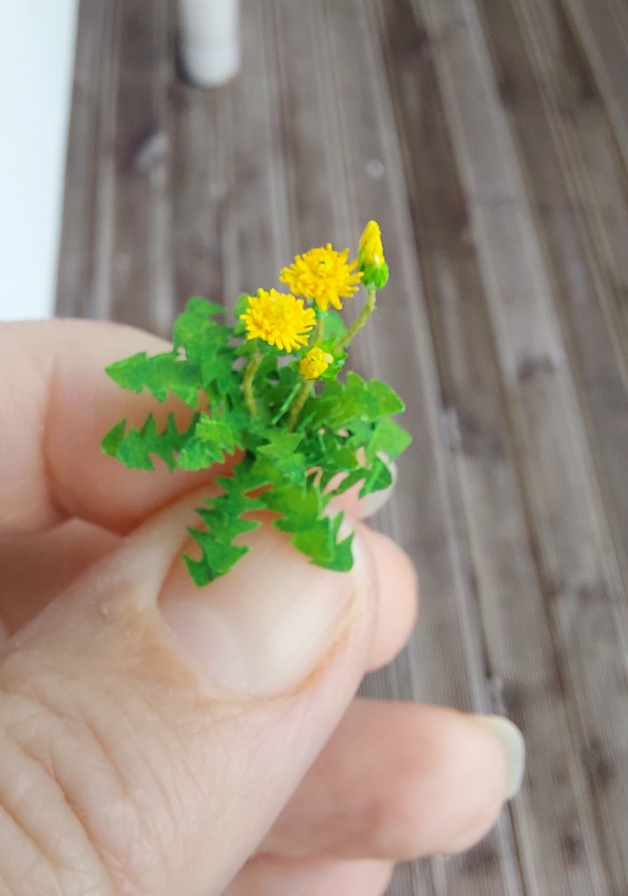 Miniature handmade Dandelion rosette of leaves and flower heads 1:12