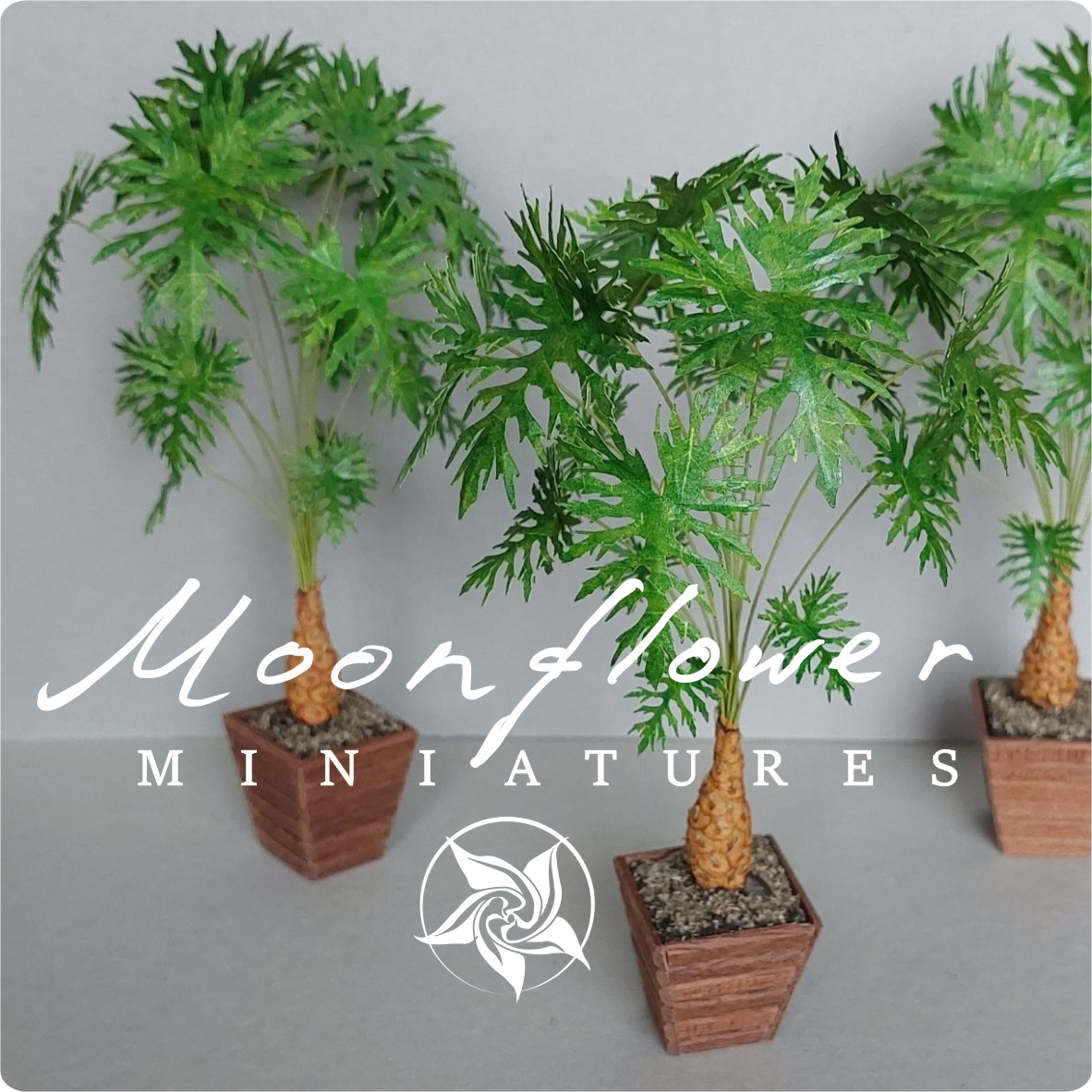 Miniature Philodendron split leaf Palm Tree 1:12 