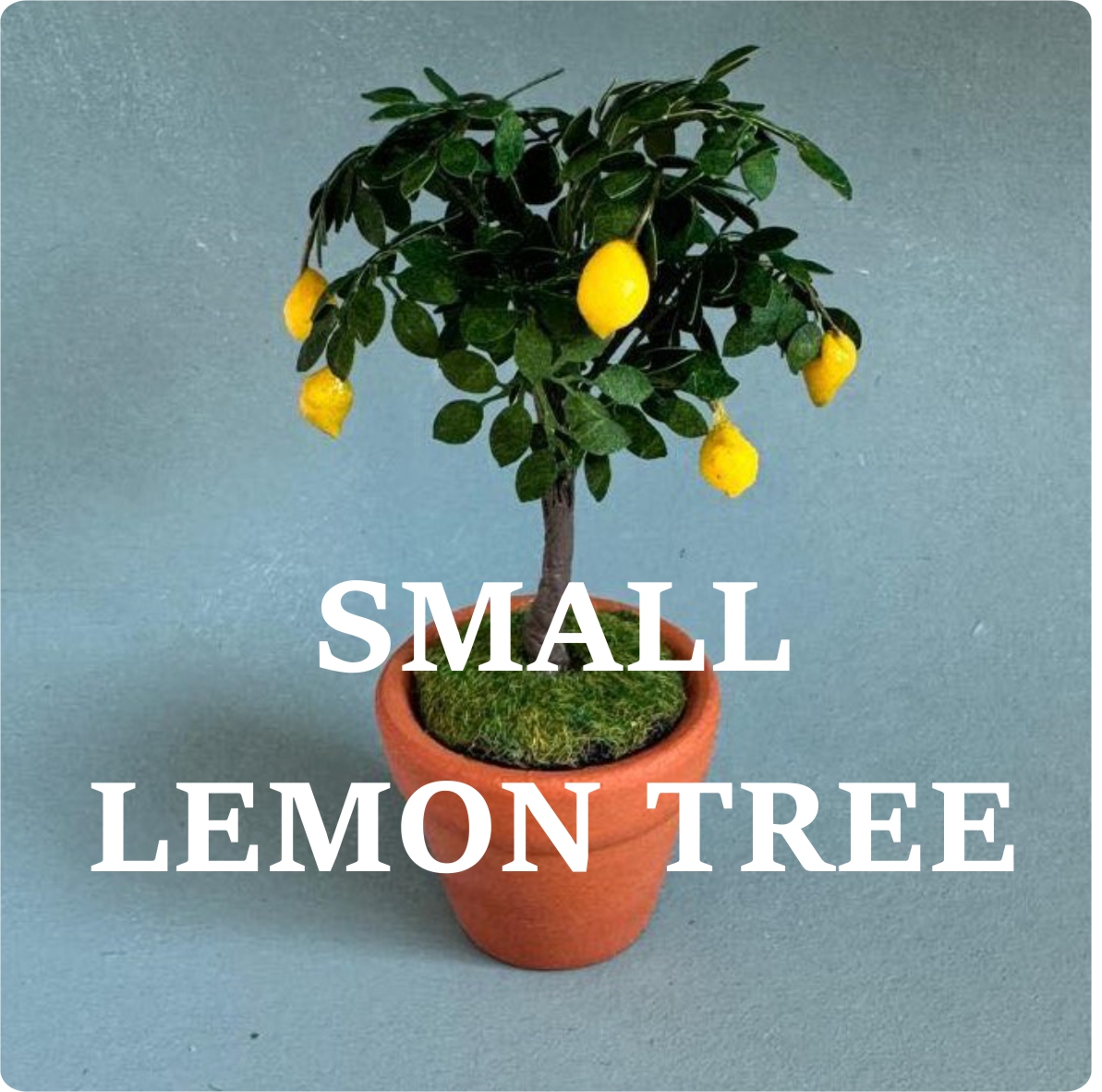 Miniature Lemon tree 1:12