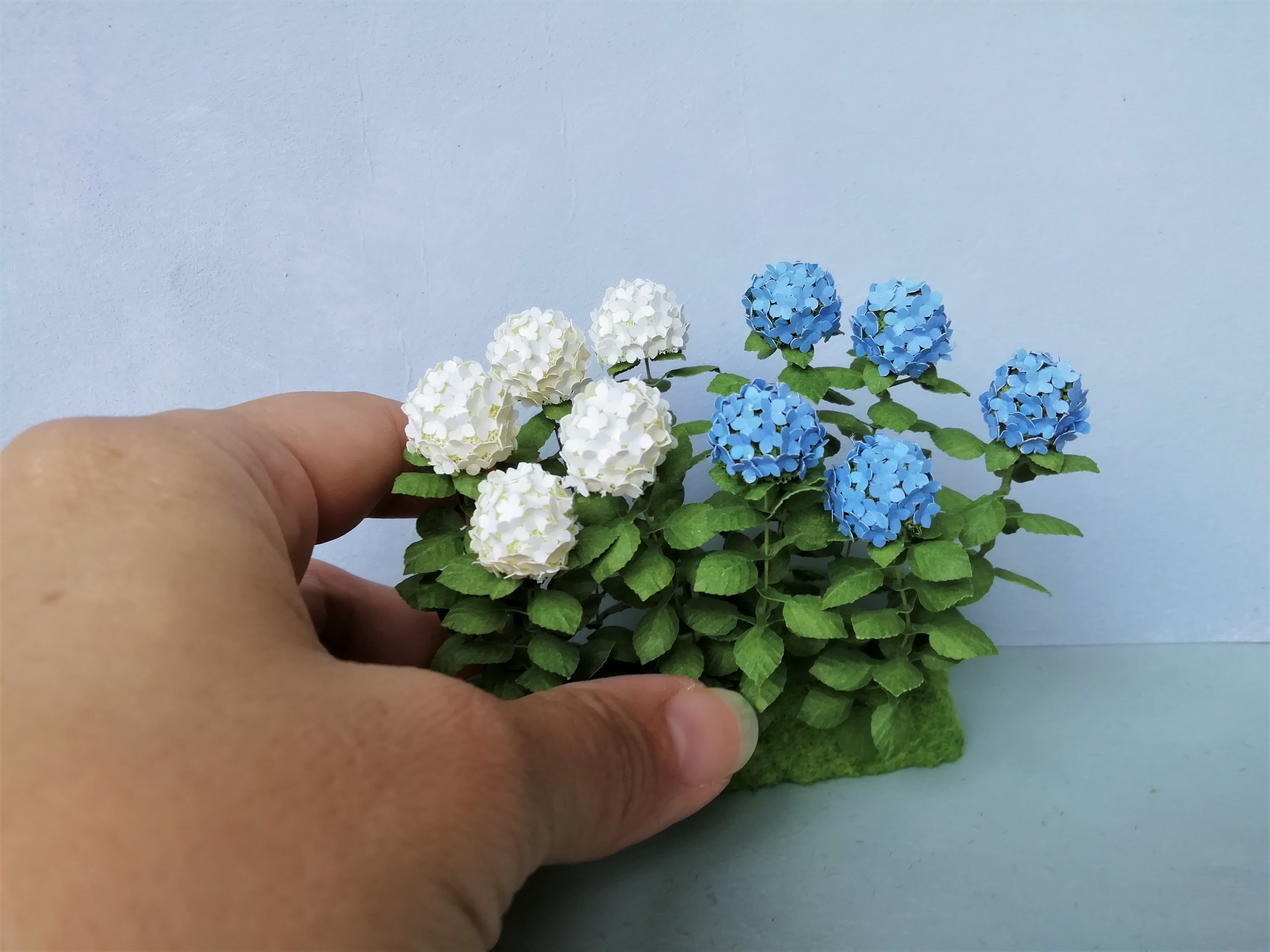 5X Miniature Hydrangea flowers Blue
