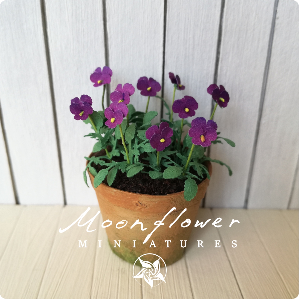 KIT large Pansy beacon purple, Miniature garden dollhouse kit, scale 1:12, DIY, viola