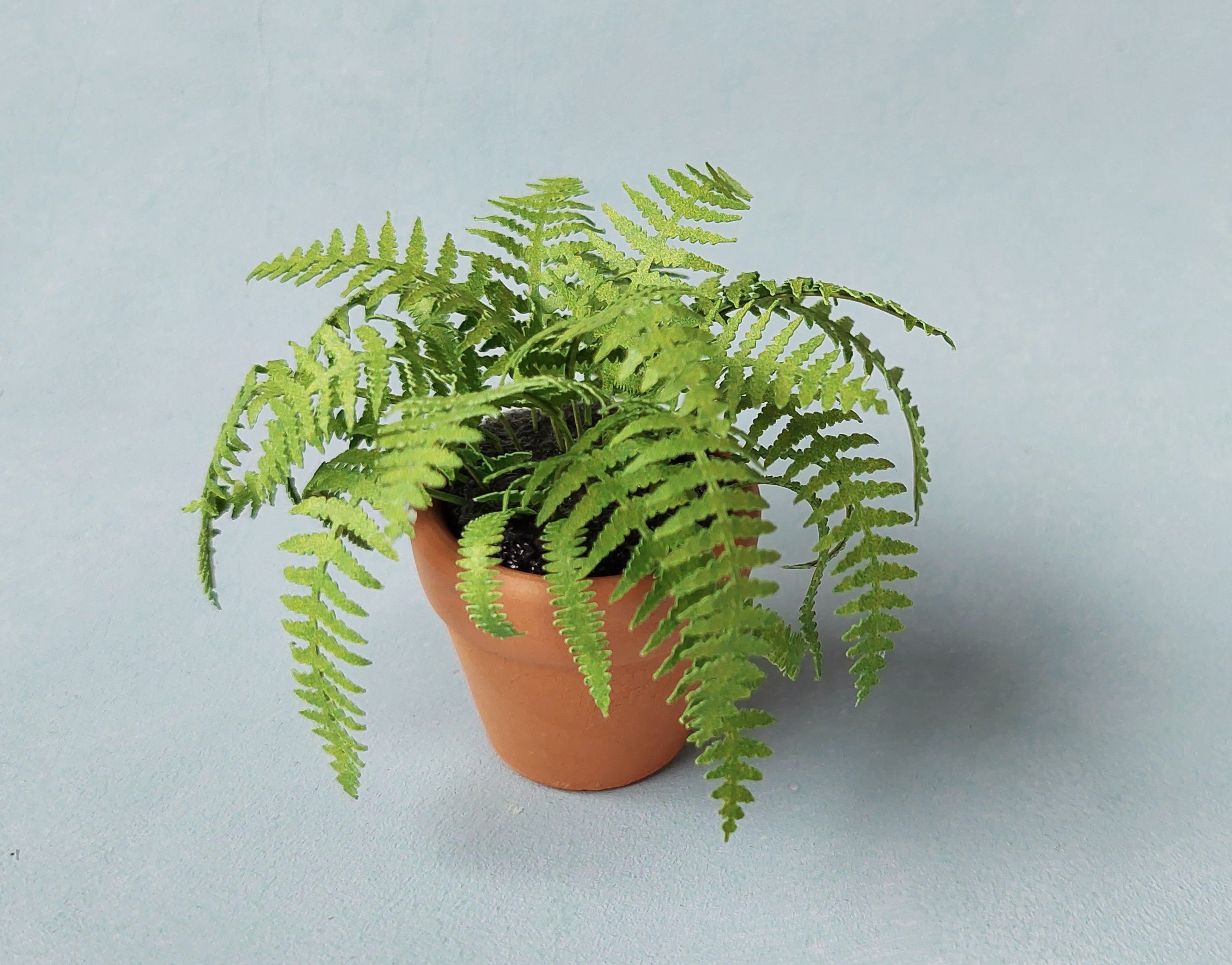 Miniature Kit 1:12 House Fern golden green flower shop, DIY fairy dollshouse