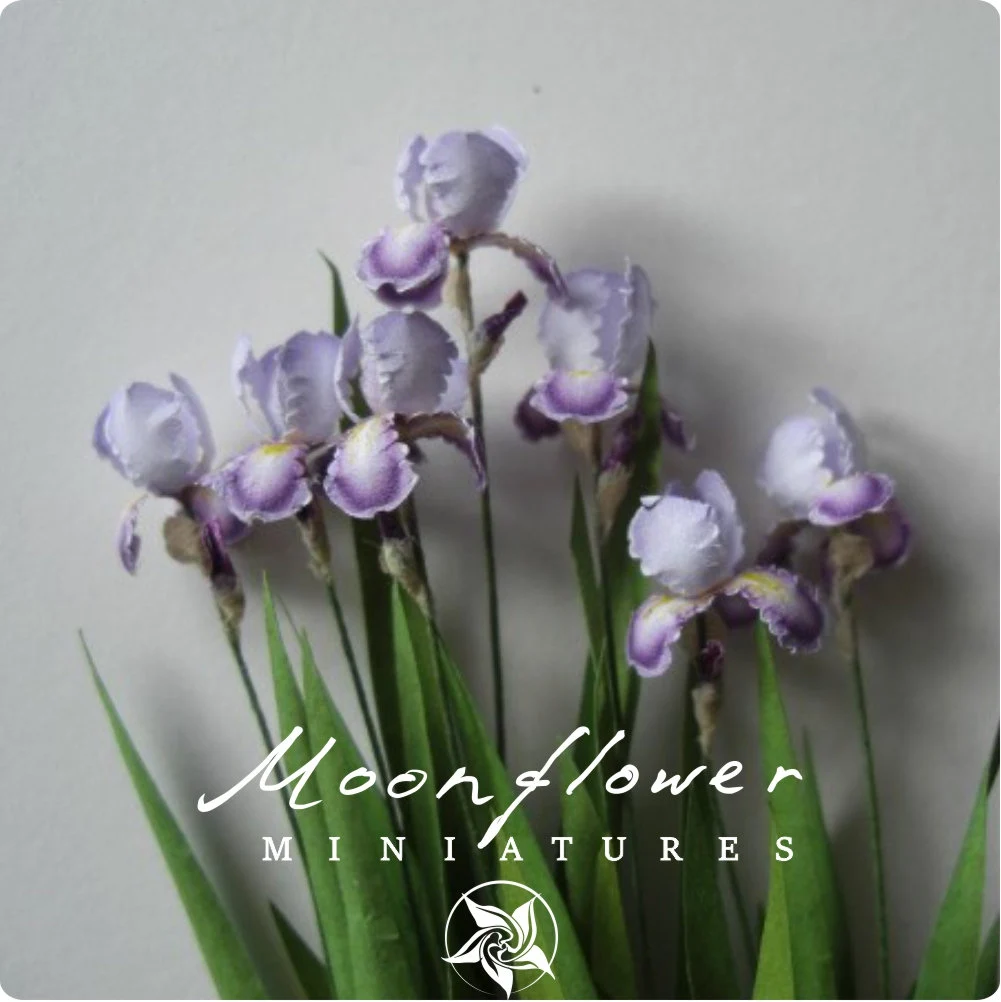 Miniature 7x Conjuration bearded iris flowers 1:12 