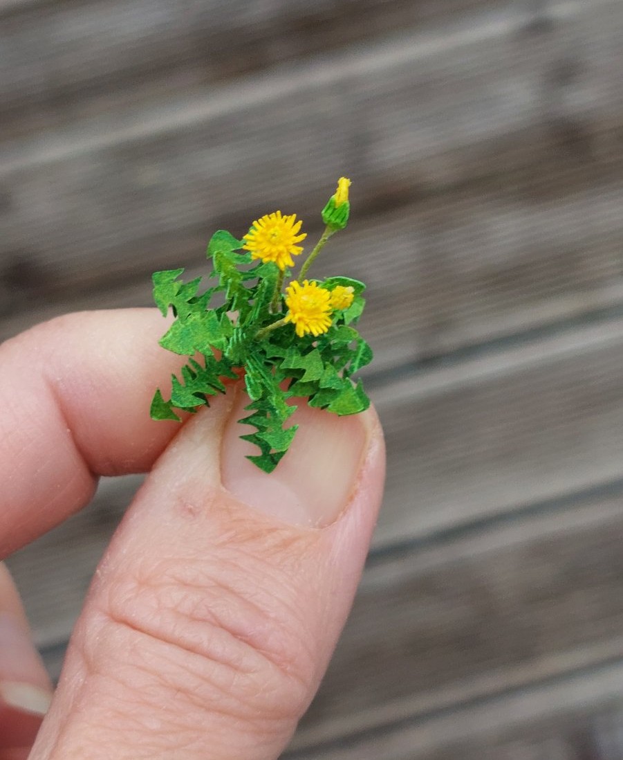 Miniature handmade Dandelion rosette of leaves and flower heads 1:12