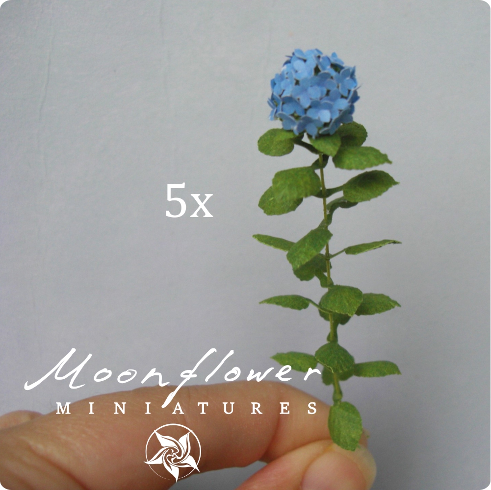 5X Miniature Hydrangea flowers Blue