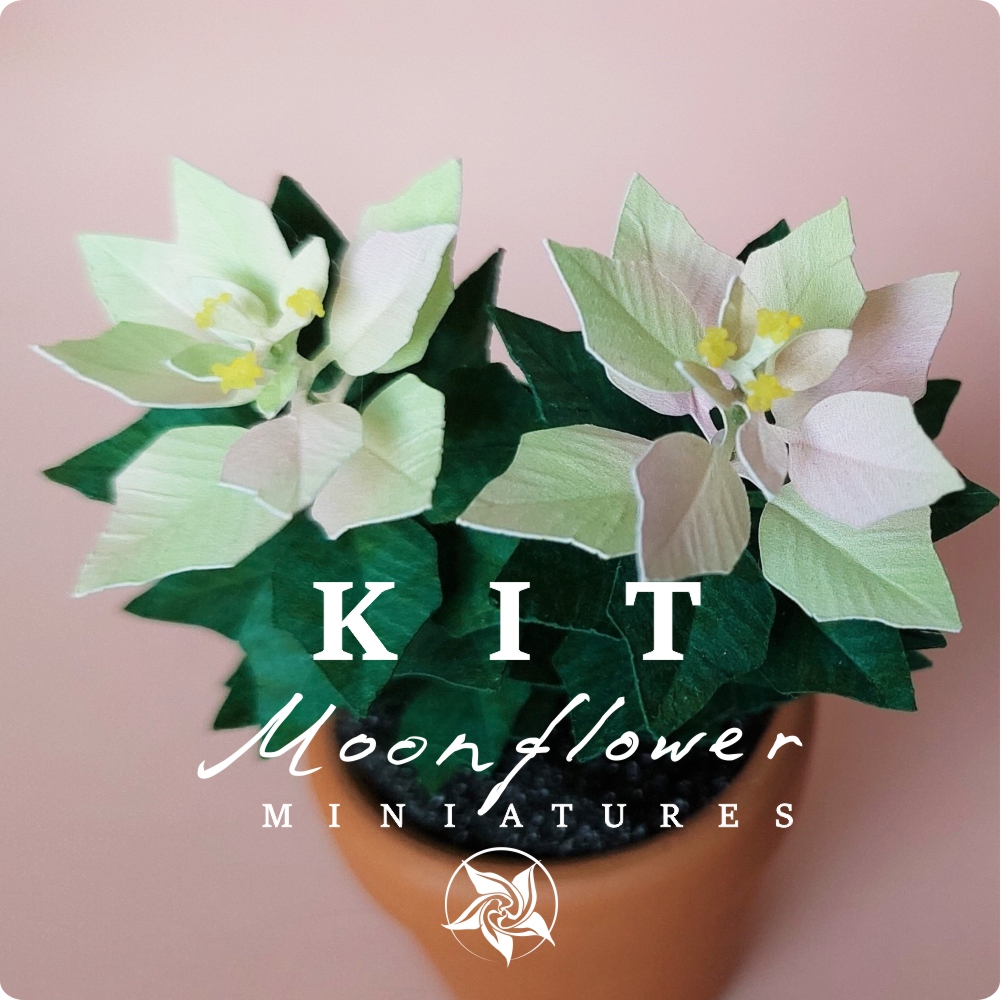 Miniature KIT Variegated green/pink Poinsettia flower plant Christmas garden flower, scale 1:12, DIY