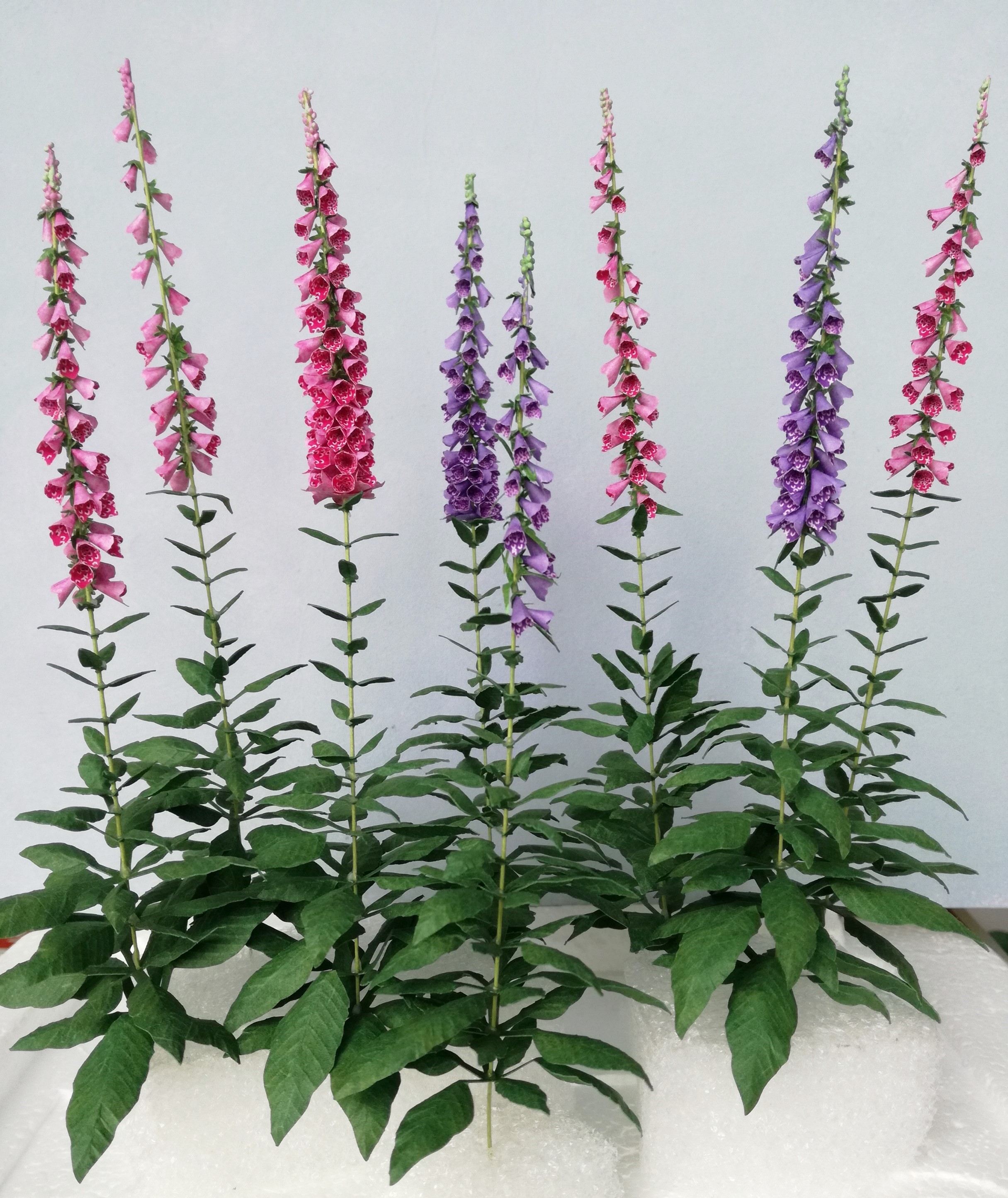 Miniature 8x Mix foxgloves flowers 1:12 dolls house 