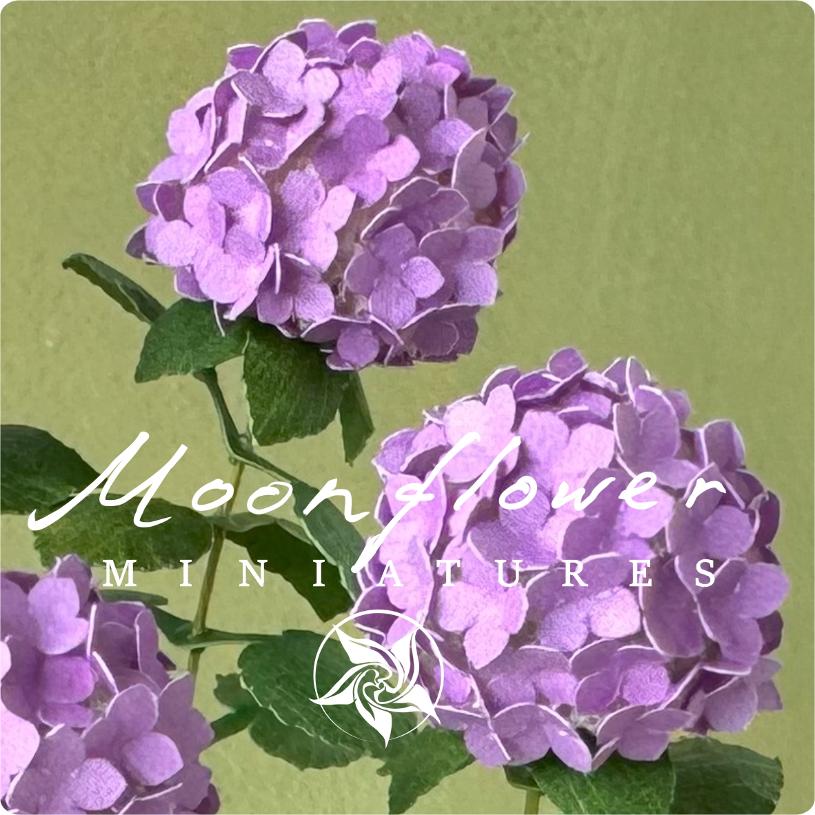 Kit Variegated Lilac Hydrangea flower dollhouse Miniature paper craft garden flower shop, scale 1:12, DIY