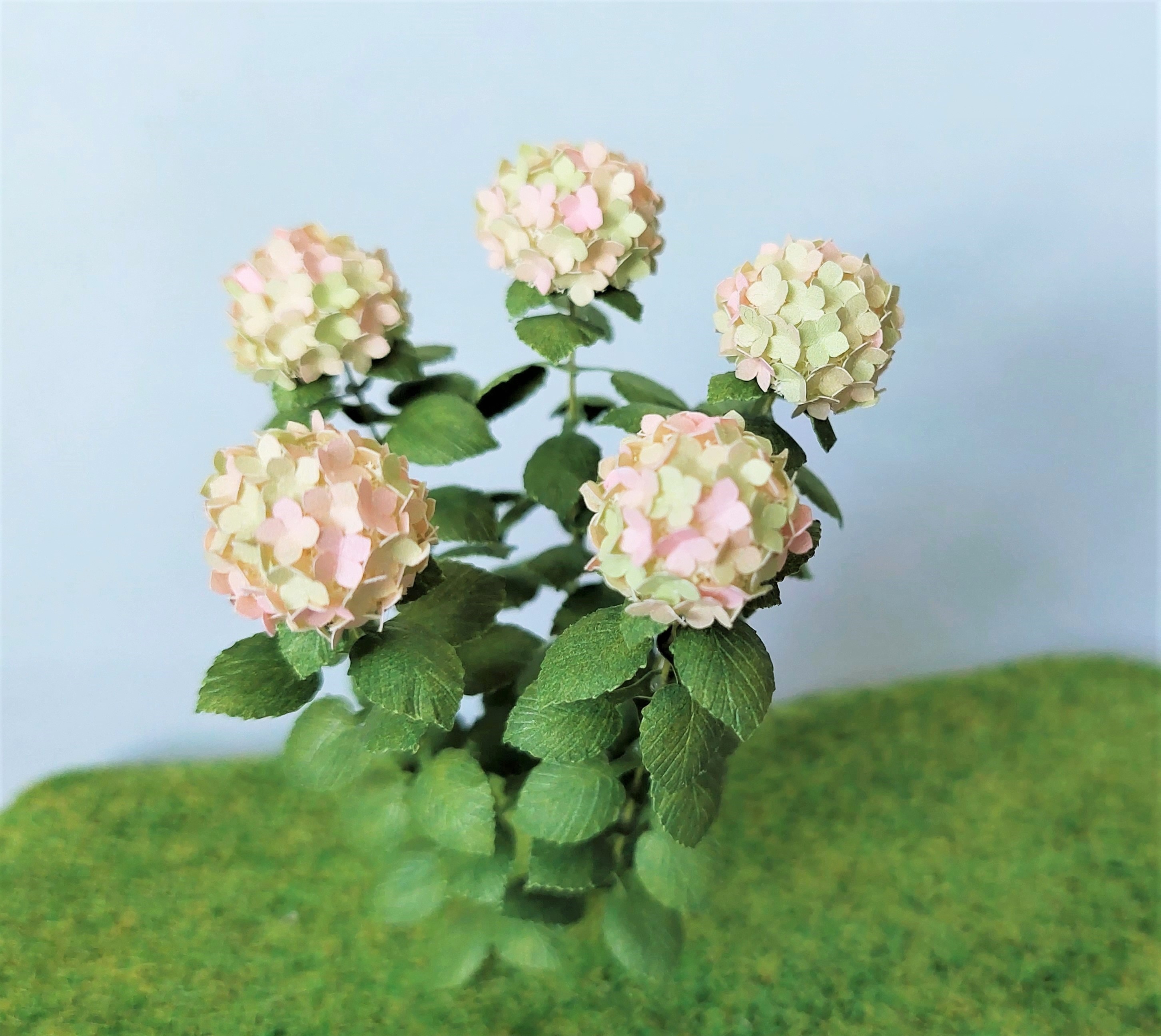 Kit Variegated pink/green Hydrangea flower dollhouse Miniature paper craft garden flower shop, scale 1:12, DIY