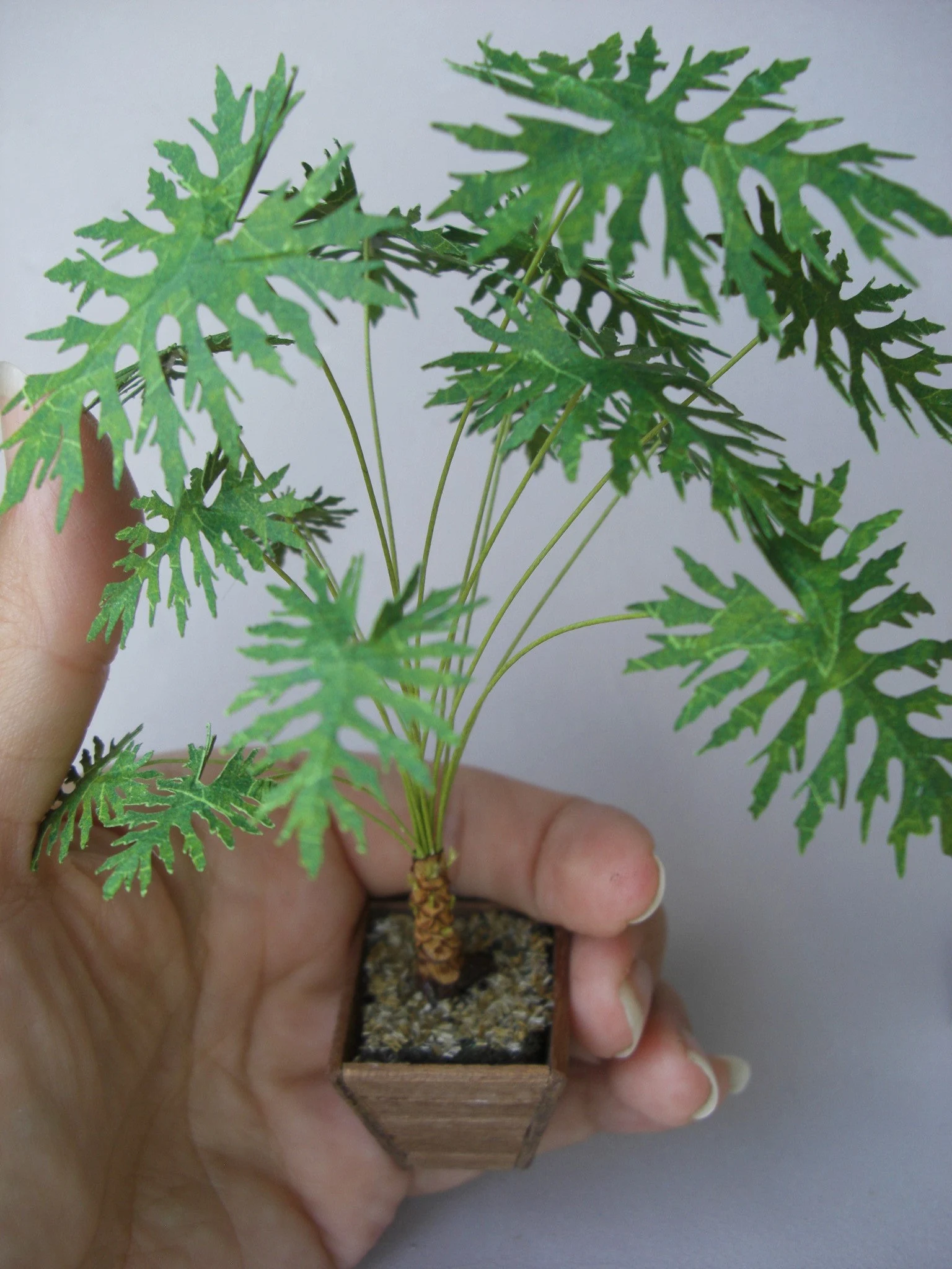 Miniature Philodendron Palm tree  Kit 1:12, DIY fairy dollshouse