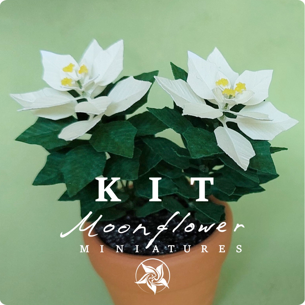 Miniature KIT White Poinsettia flower plant Christmas garden flower, scale 1:12, DIY
