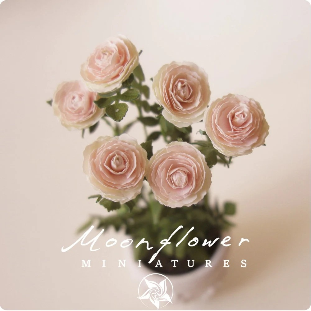 Kit Rose "Antique Rose" dollhouse Miniature garden flower shop, scale 1:12, DIY