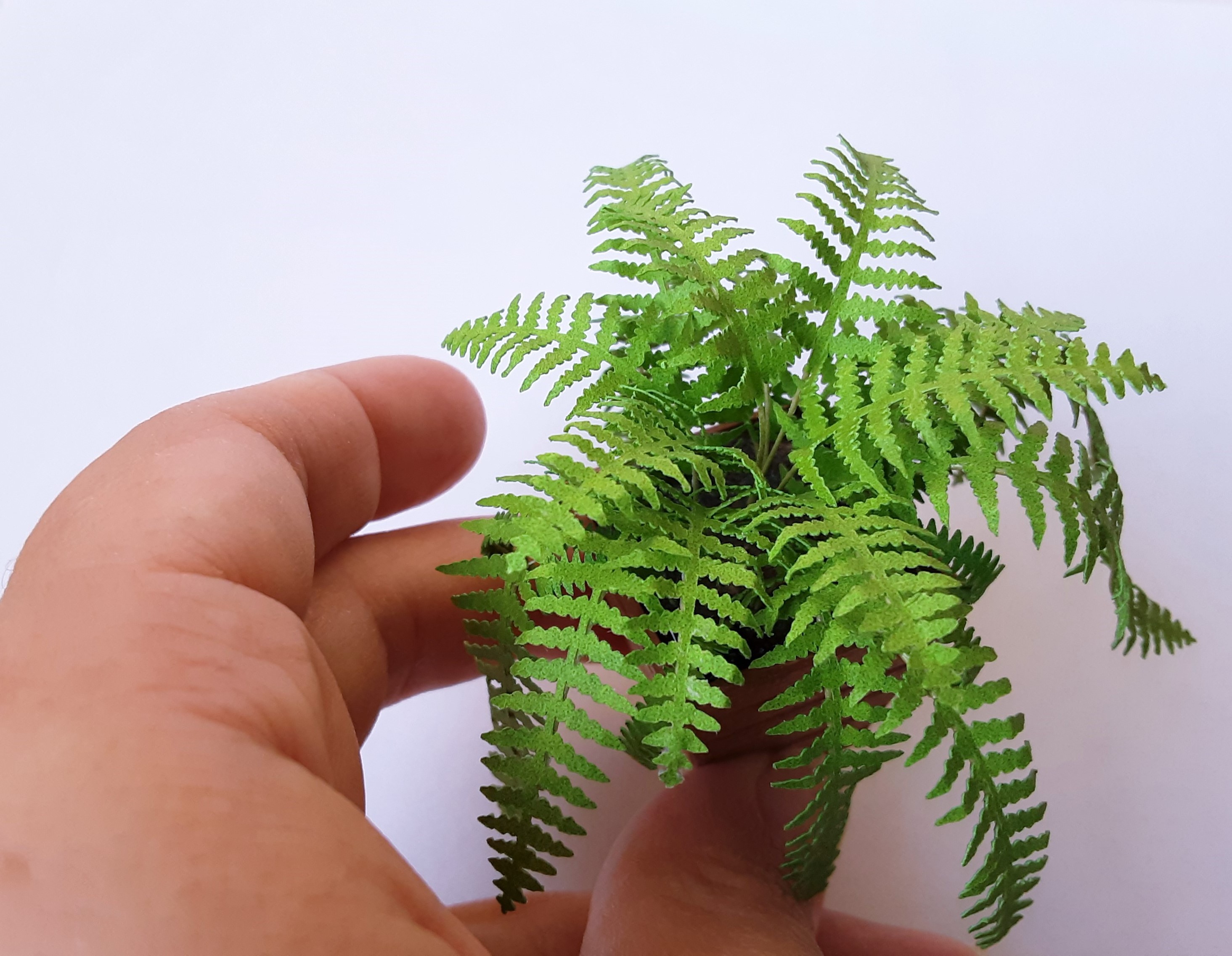 Miniature Kit 1:12 House Fern grass green flower shop, DIY fairy dollshouse