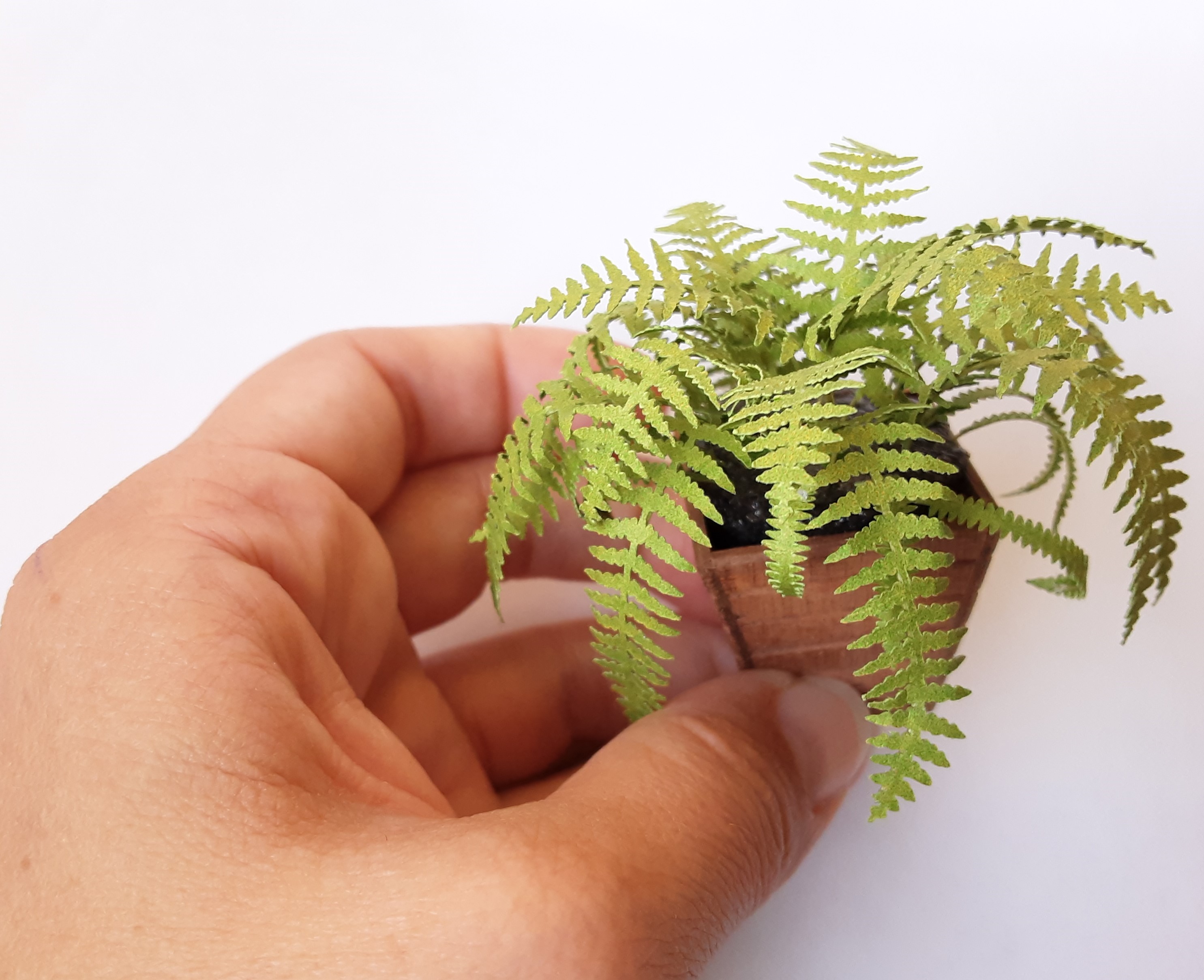 Miniature Kit 1:12 House Fern golden green flower shop, DIY fairy dollshouse