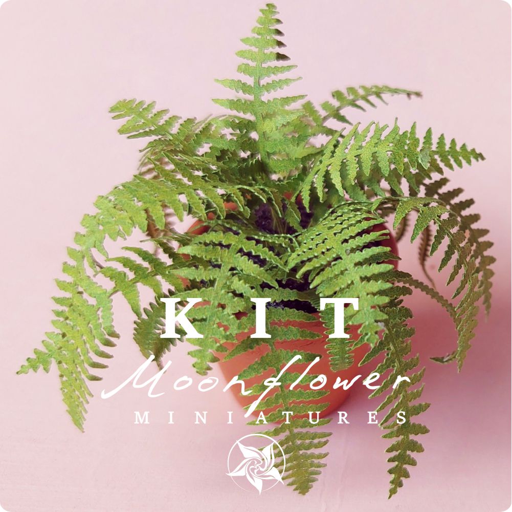Miniature Kit 1:12 House Fern golden green flower shop, DIY fairy dollshouse