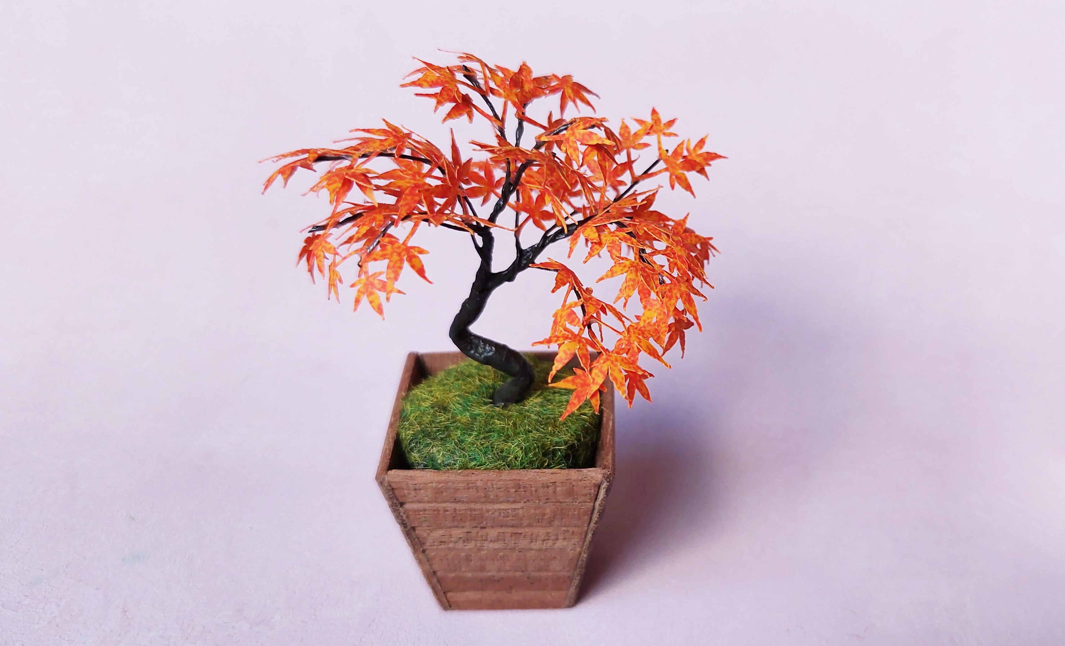 KIT Miniature Maple bonsai tree color # 2 garden dollhouse kit, scale 1:12, DIY, viola