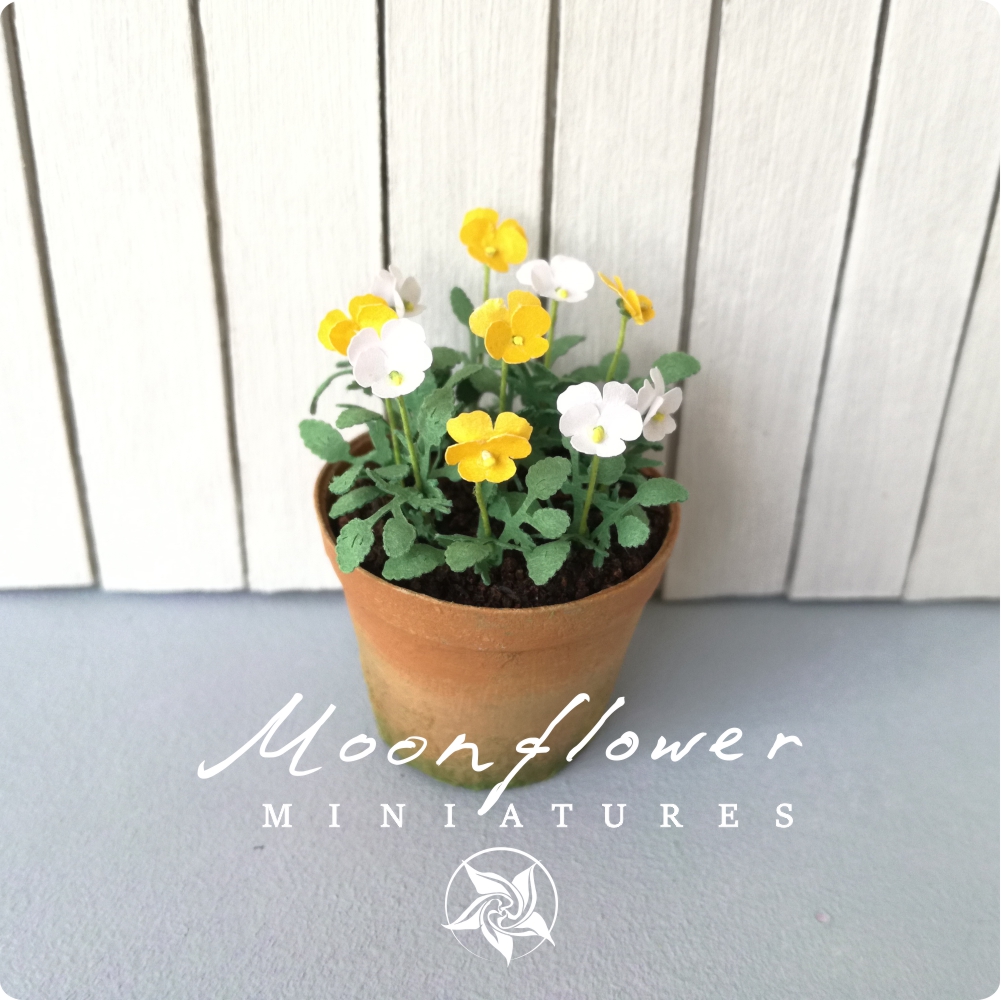 KIT large Pansy beacon white yellow, Miniature garden dollhouse kit, scale 1:12, DIY, viola