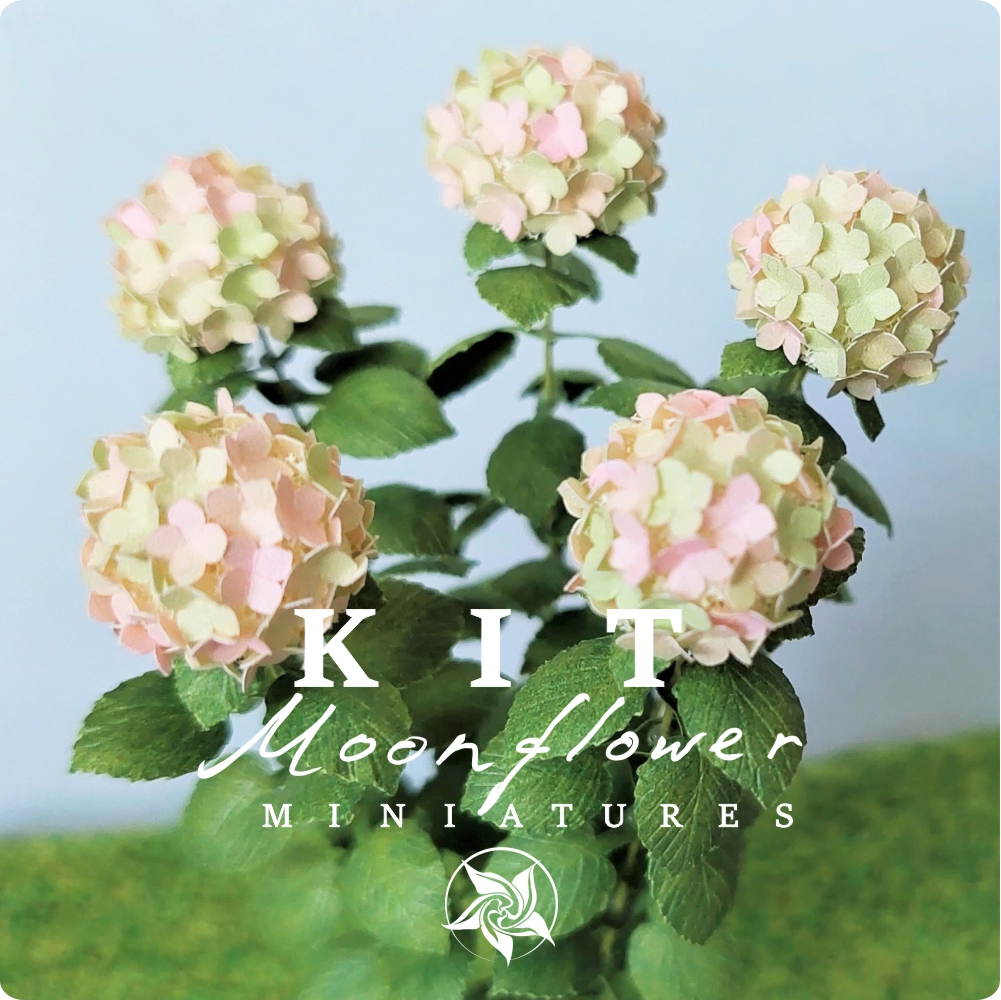Kit Variegated pink/green Hydrangea flower dollhouse Miniature paper craft garden flower shop, scale 1:12, DIY