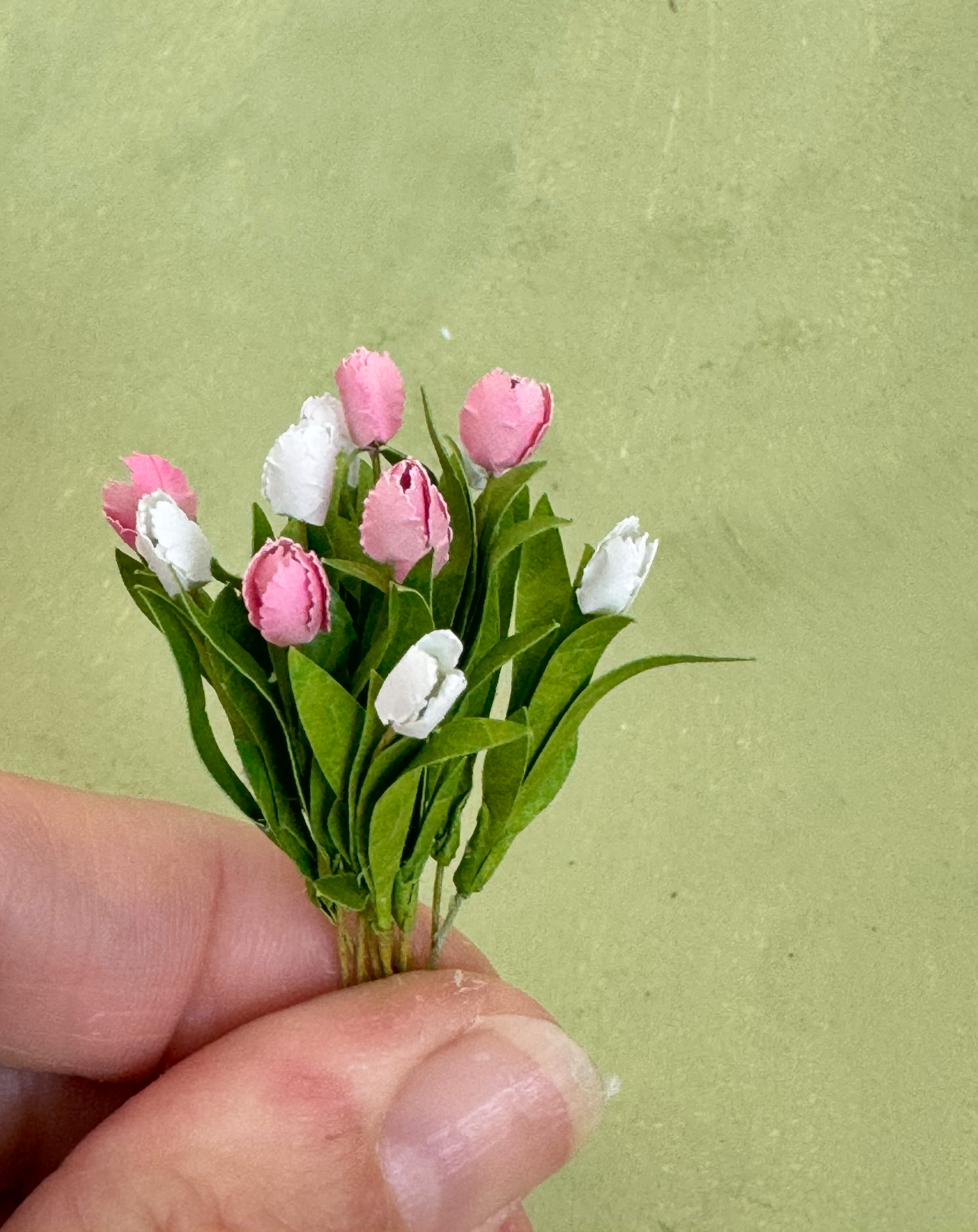 Miniature 12x Tulip flowers