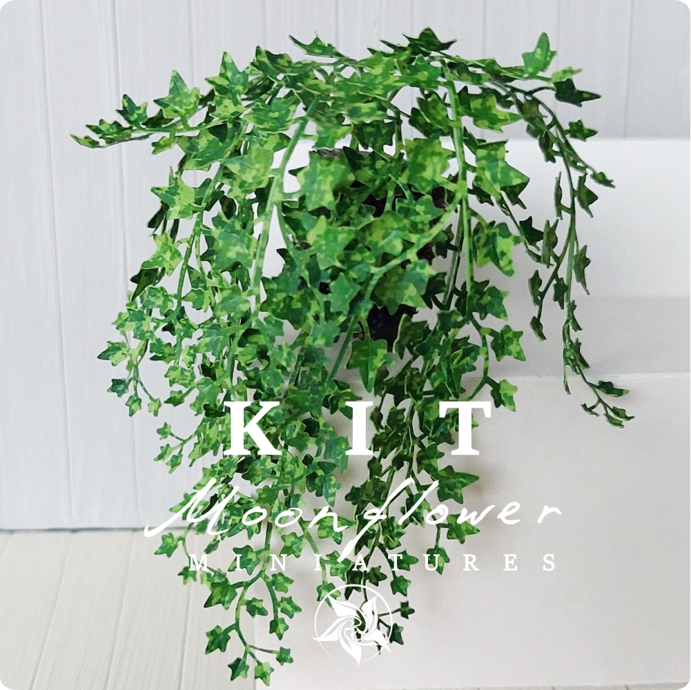 KIT Miniature Ivy garden dollhouse flower kit, scale 1:12, MEDIUM GREEN DIY
