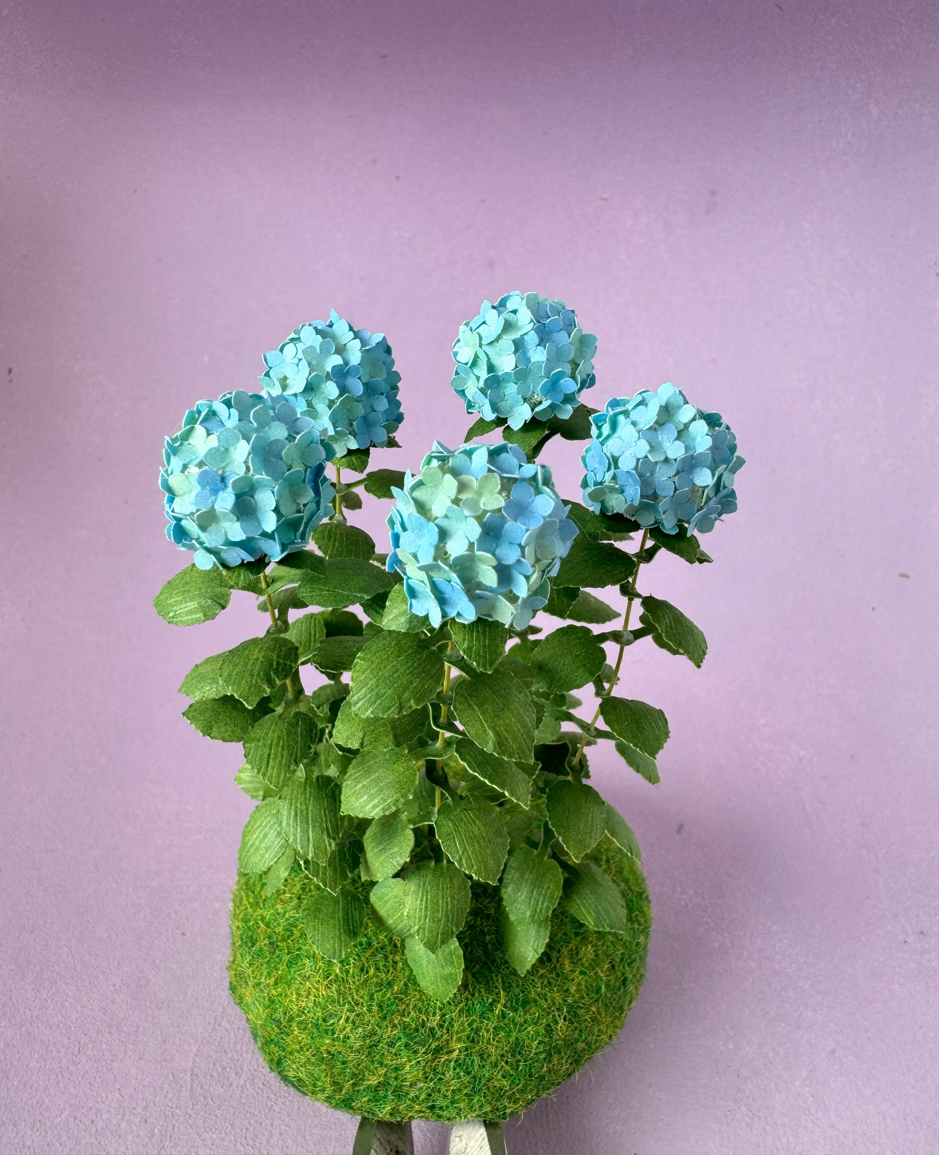 5x Miniature Hydrangea flowers Variegated Blue/Green
