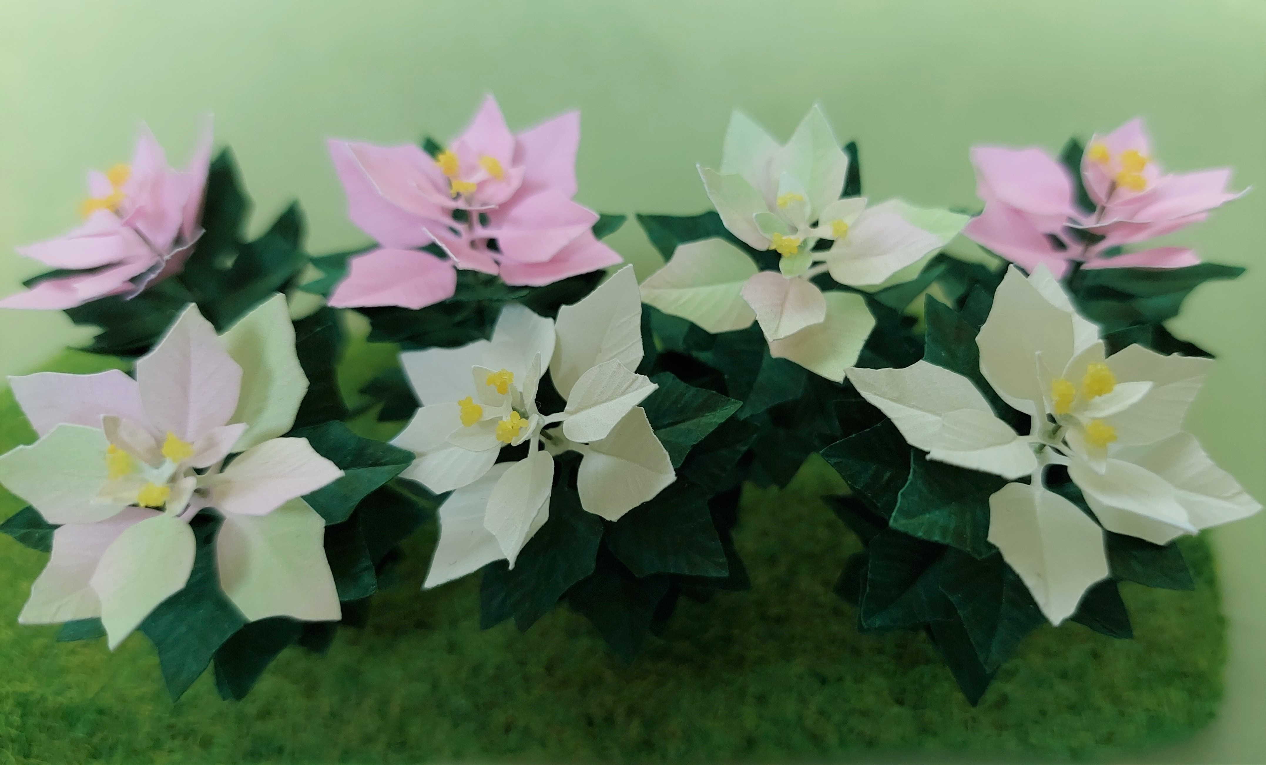 Miniature KIT White Poinsettia flower plant Christmas garden flower, scale 1:12, DIY